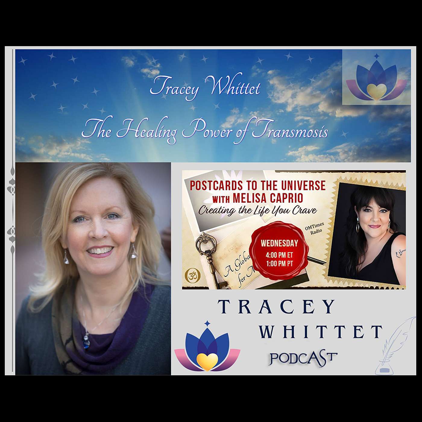 Conversation with Tracey Whittet - The Healing Power of Transmosis