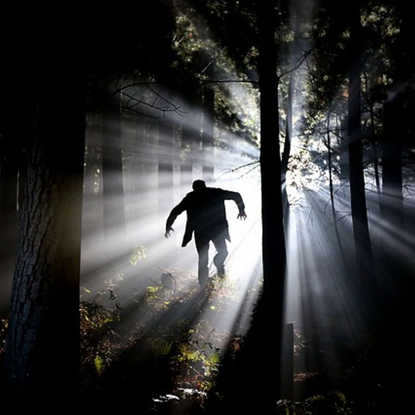 #033_How to Kill the Vampires in Your House