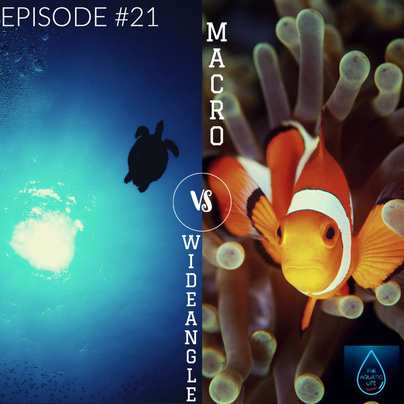 021: Macro VS Wide Angle Photography