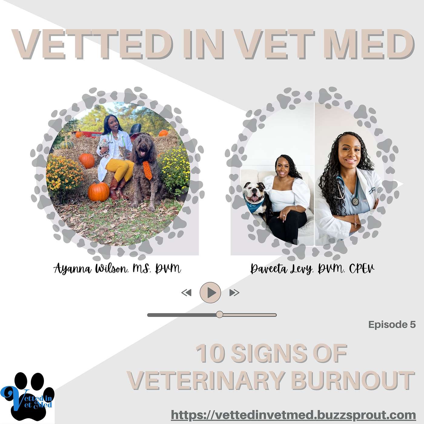 Vetted in Vet Med: 10 Signs of Veterinary Burnout