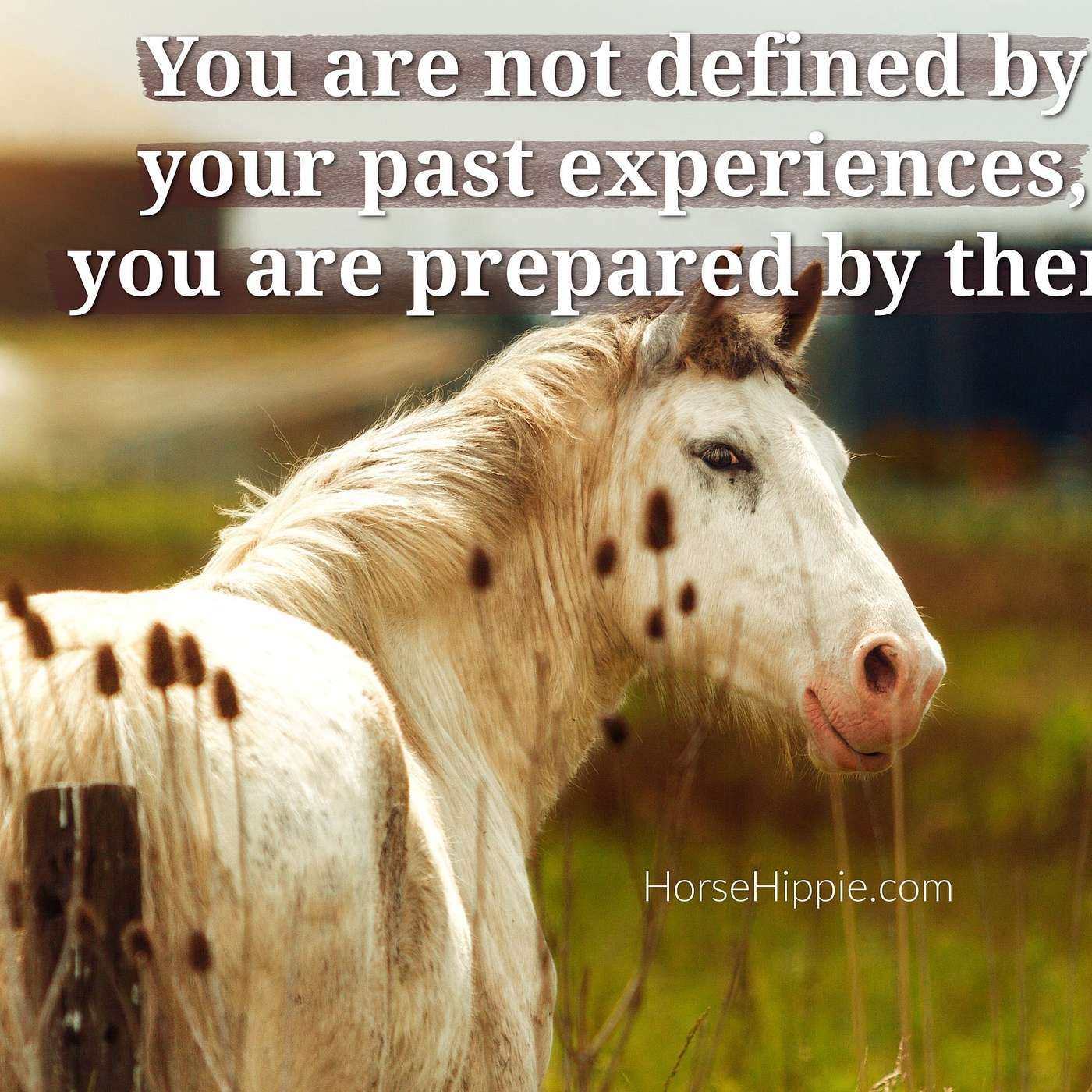Horse Hippie’s Morning Mantras