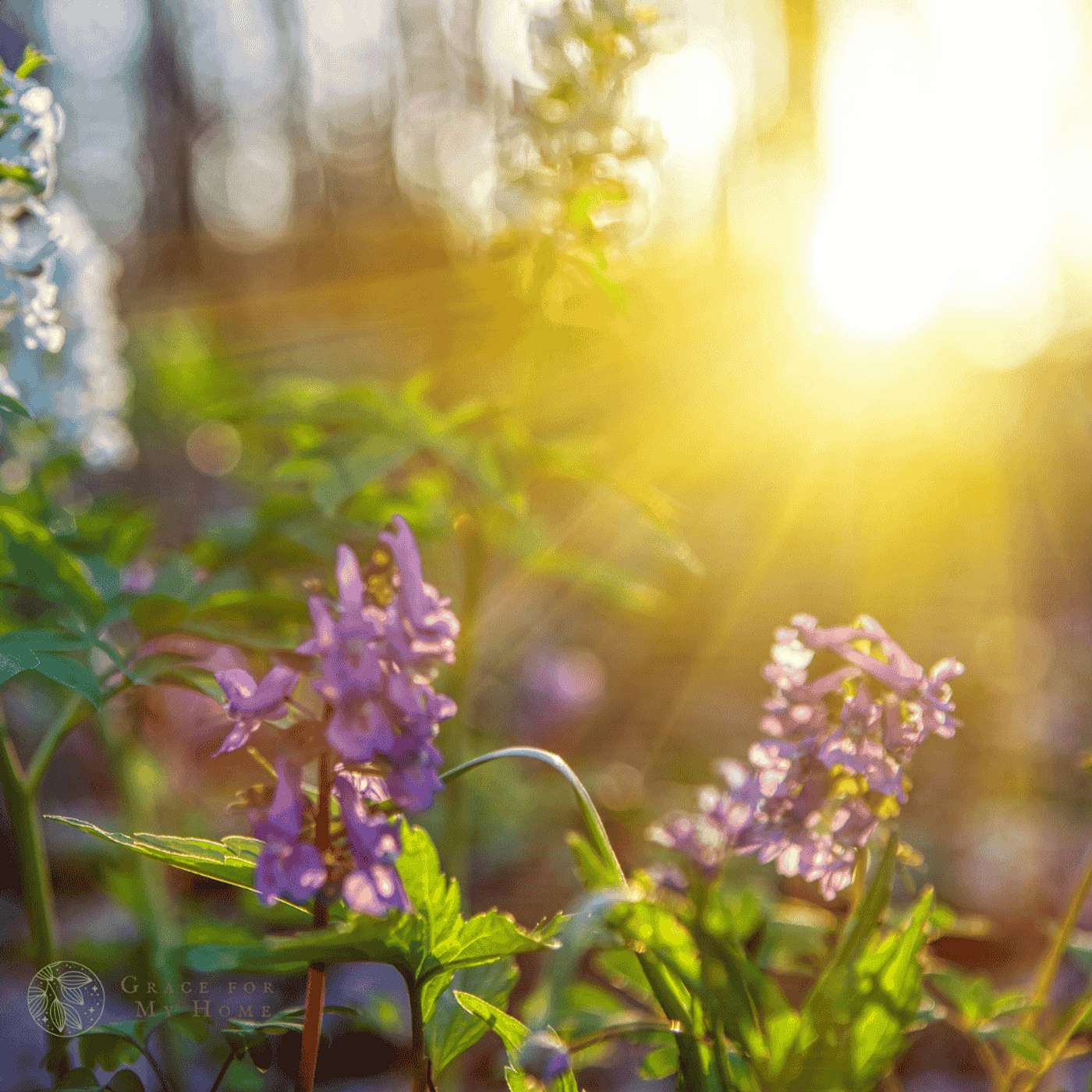 Learning to See God’s Goodness in the Hard Seasons