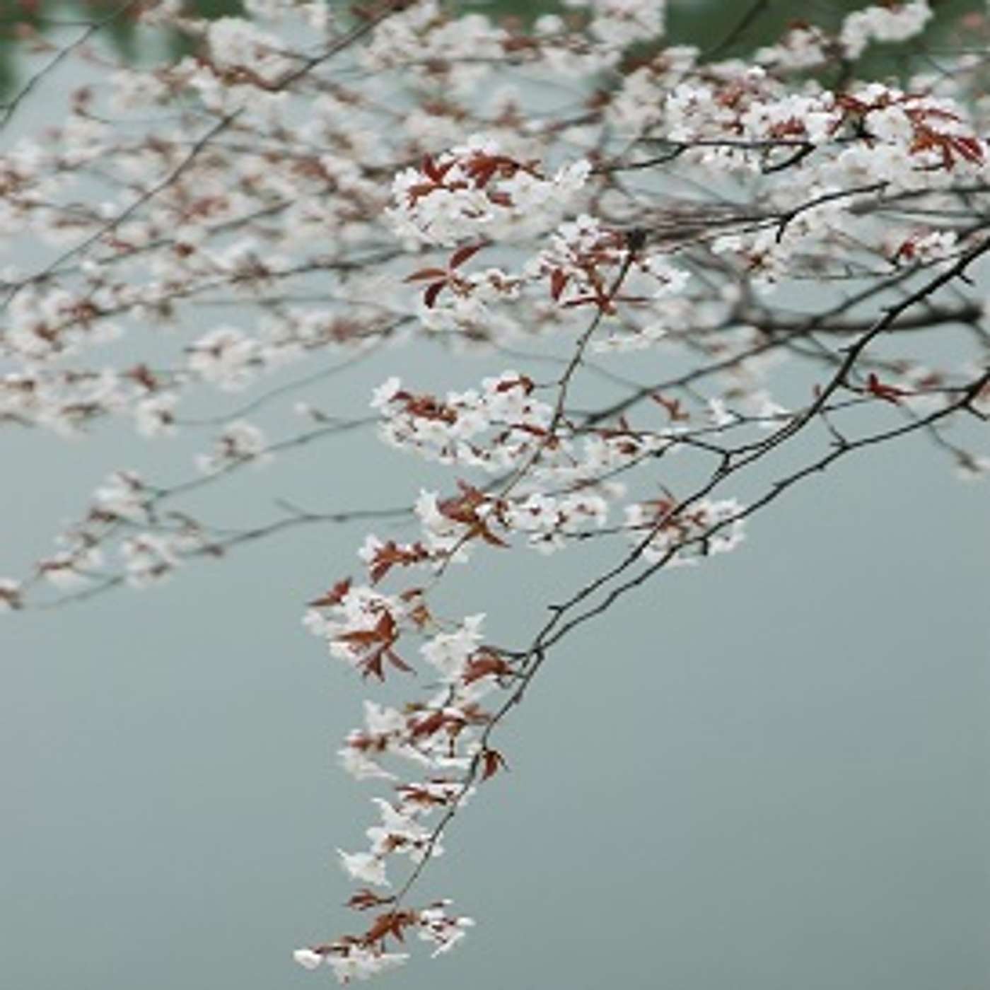 #relaxationUnderground Stress Relief Imagery #relaxationUnderground Stress Relief Imagery