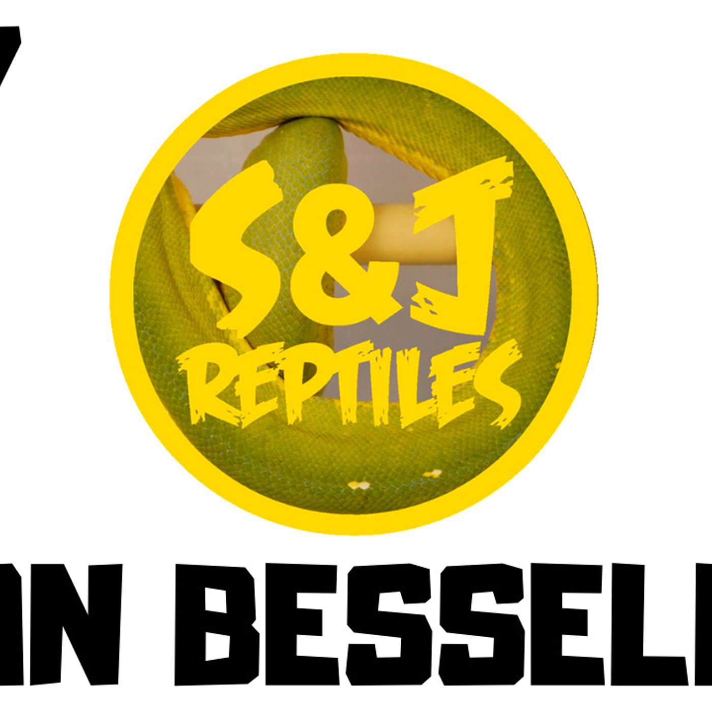 #137 IAN BESSELL OF S&J REPTILES | GREEN TREE PYTHONS | CHONDRO BREEDER | TRAP TALK