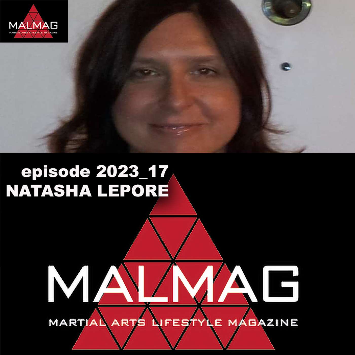 The Martial Arts Lifestyle Podcast