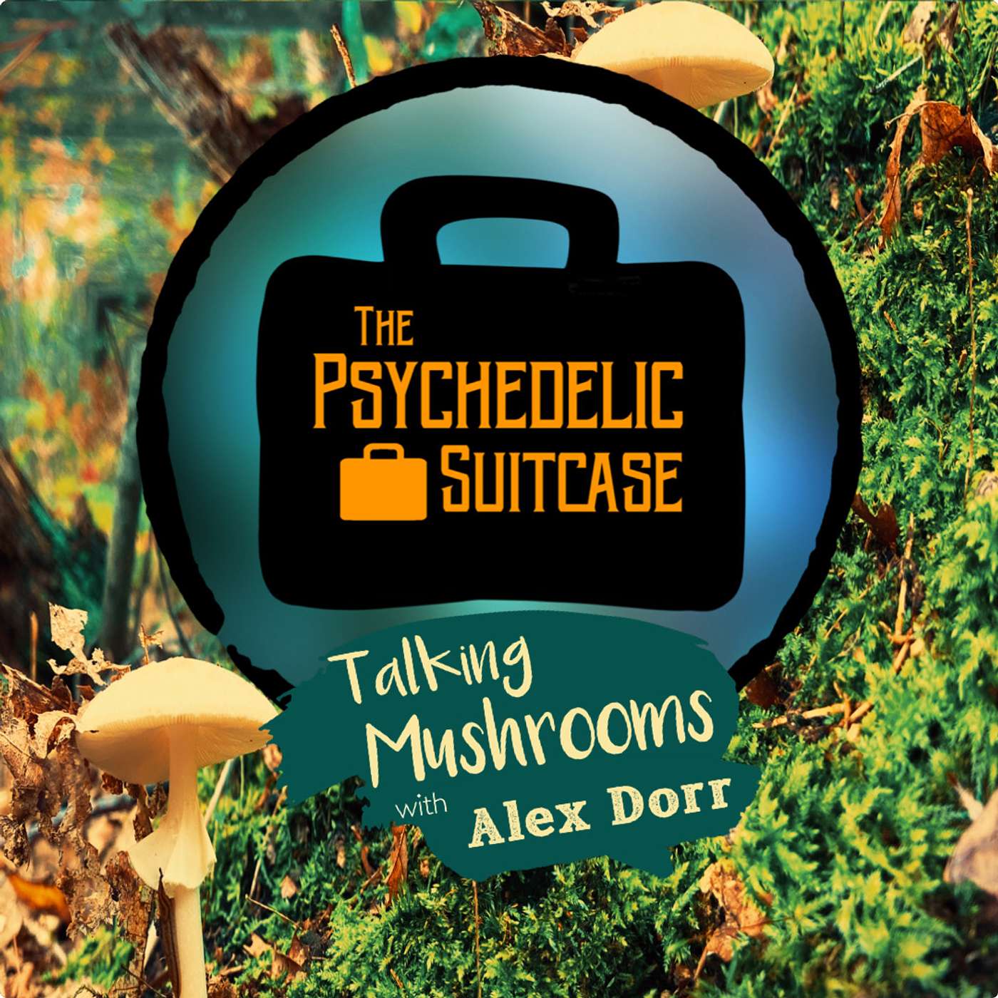 The Psychedelic Suitcase