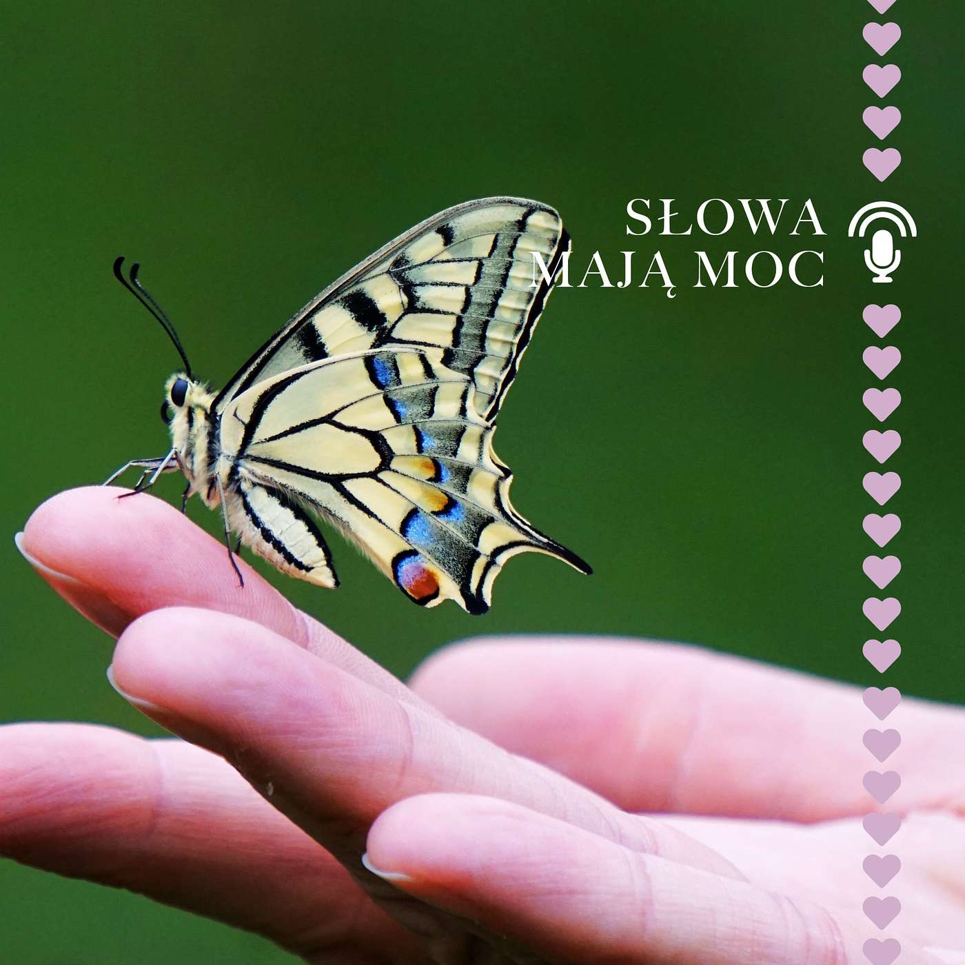 Wrażliwość, wysoko-wrażliwość, nadwrażliwość. Odc 3, Sezon 4. episode artwork