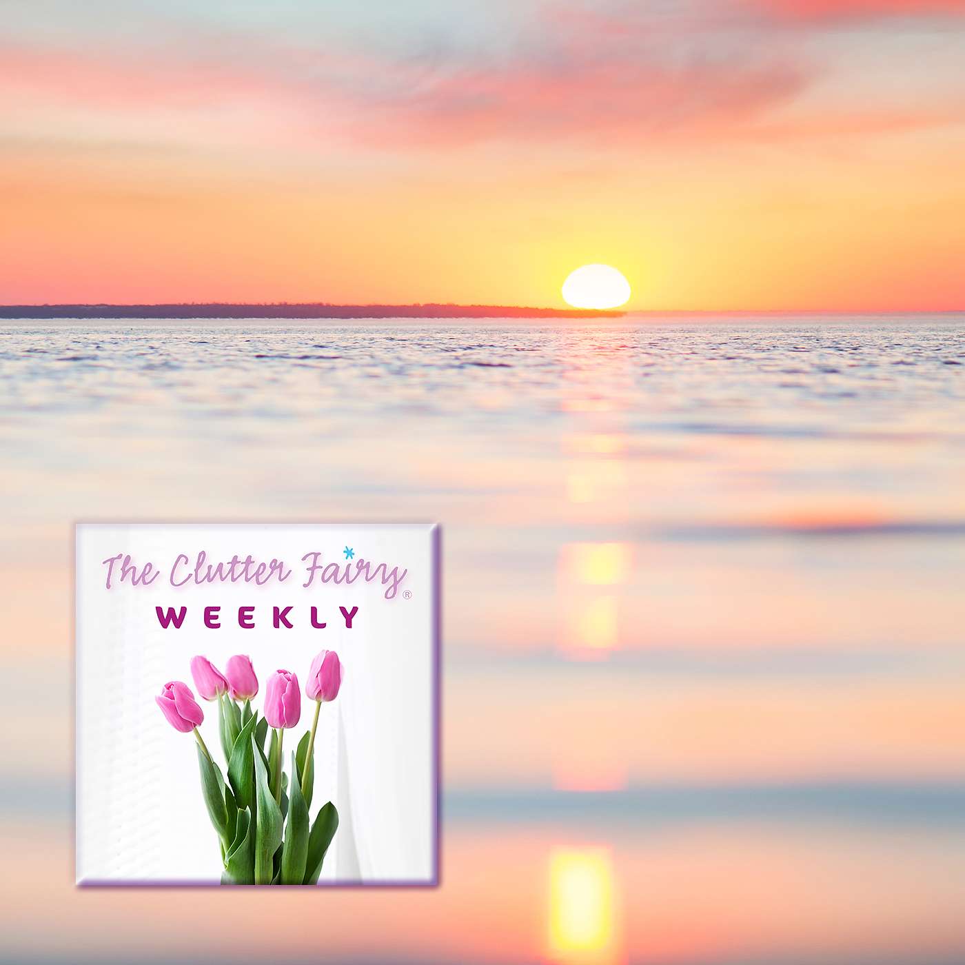 A Space of One’s Own: Organizing for Peace of Mind - The Clutter Fairy Weekly #120