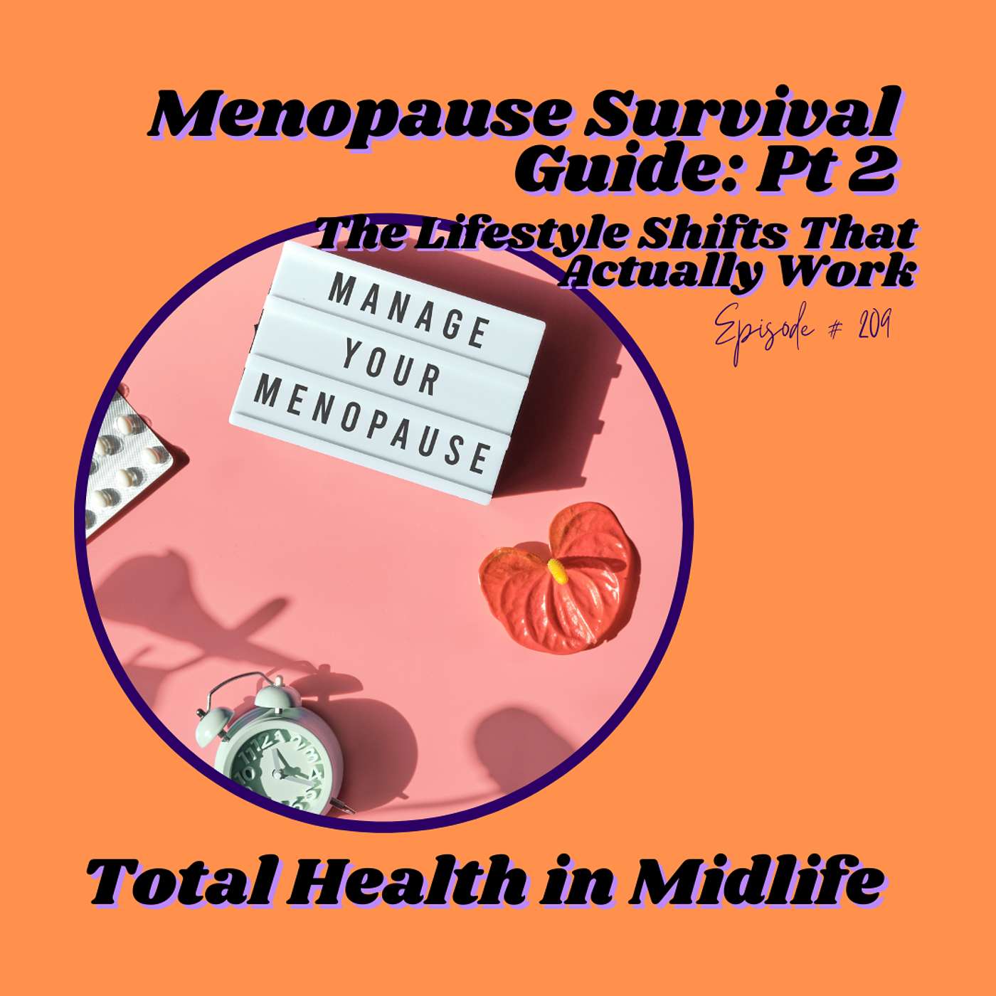 209: Menopause Survival Guide: Pt 2 The Lifestyle Shifts That Actually Work episode artwork