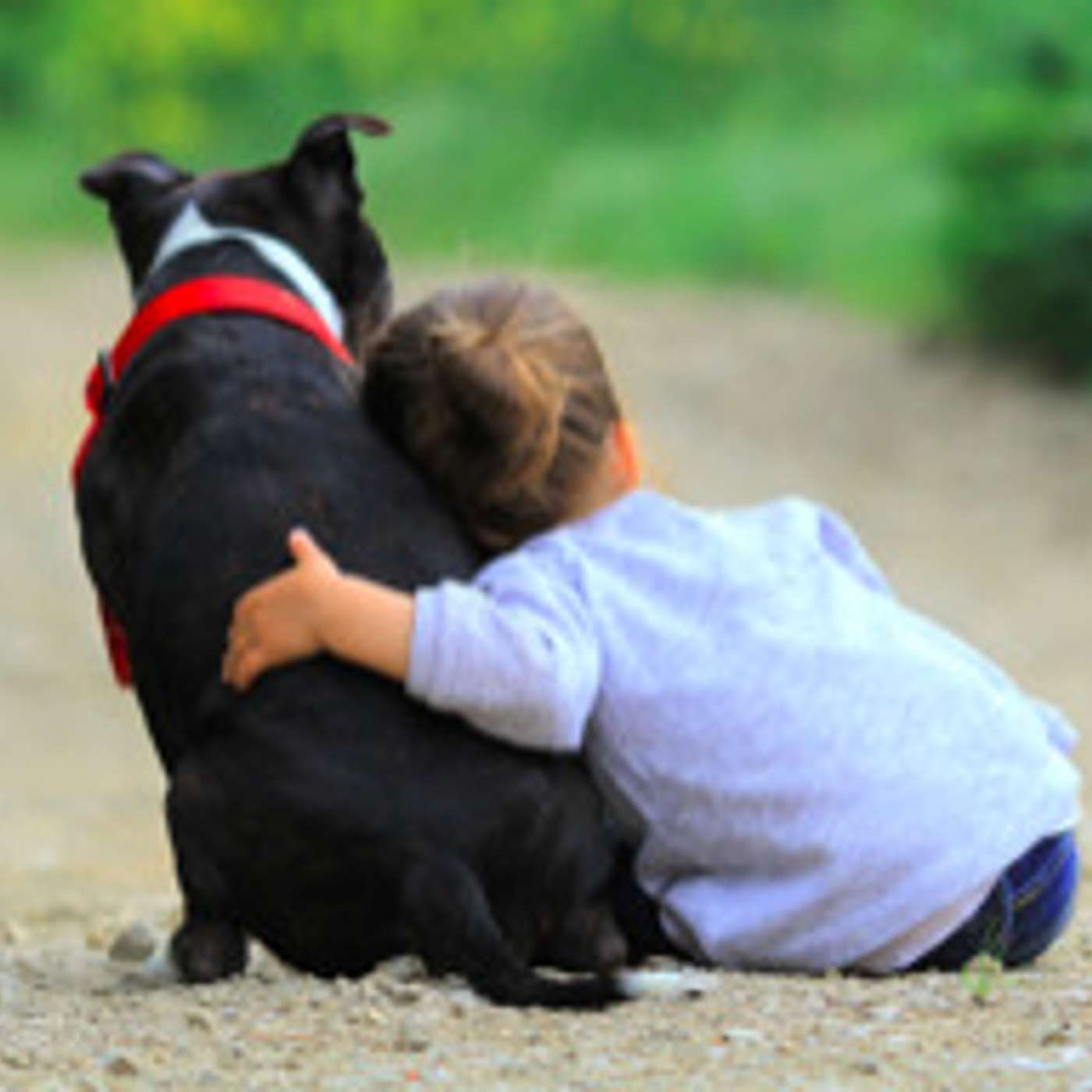 4 OCD Parenting Lessons from My Dog Trainers