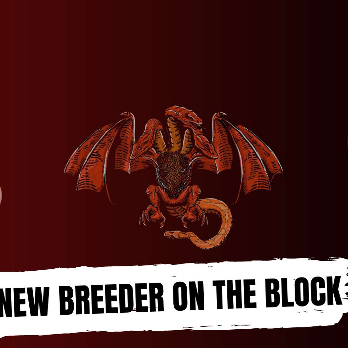 Dom goes over his excitement for the Short Tailed Python game