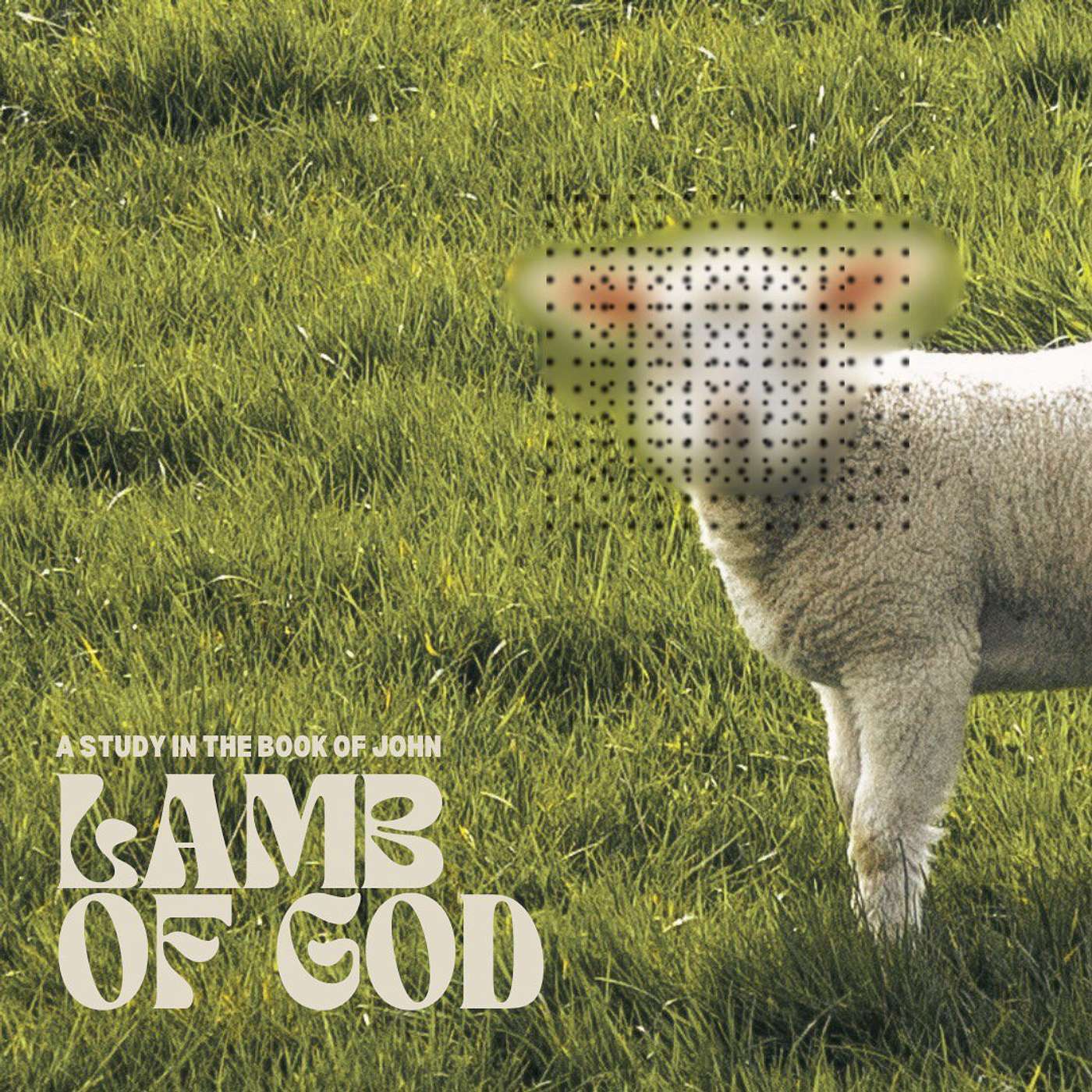 The Salt Company Denver