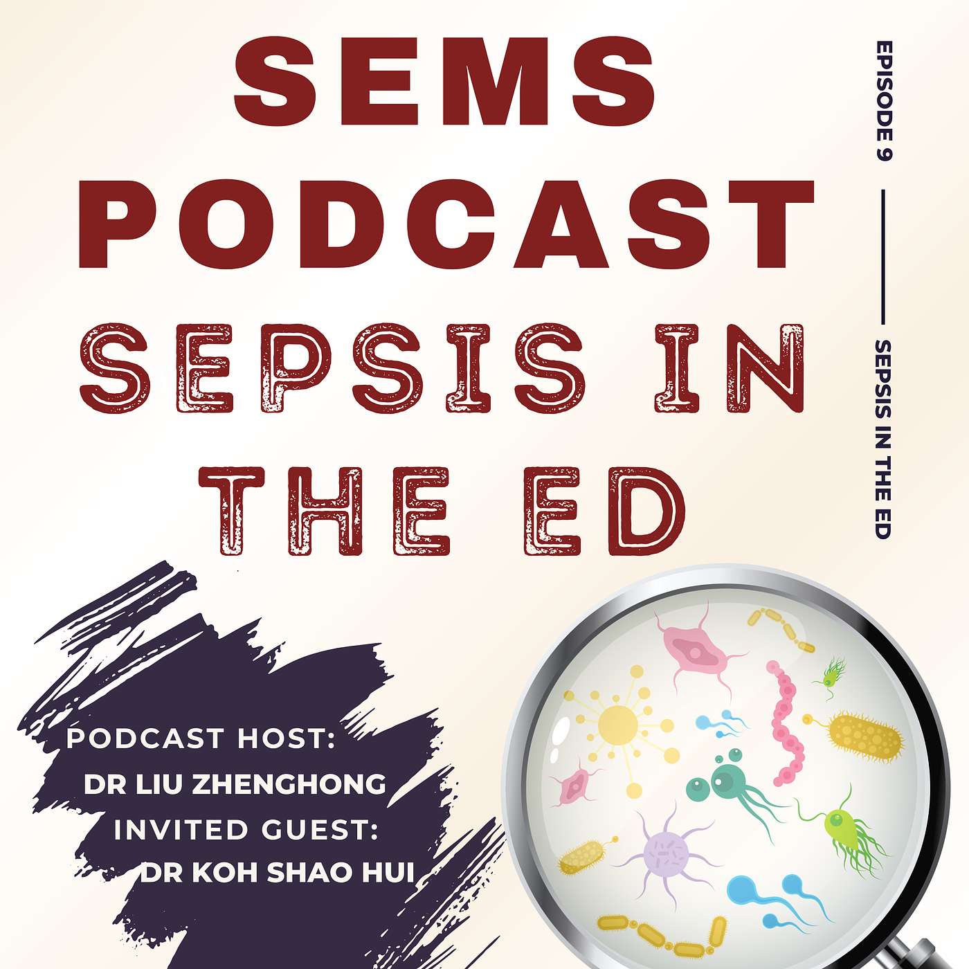 SEMS Podcast
