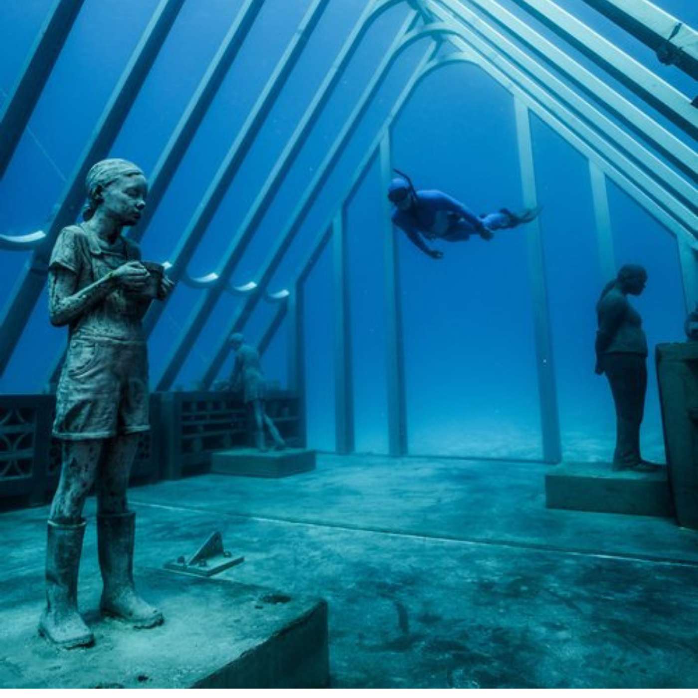 S2 E31: Art Meets Ocean: How Creativity, Science & Community Are Protecting the Great Barrier Reef
