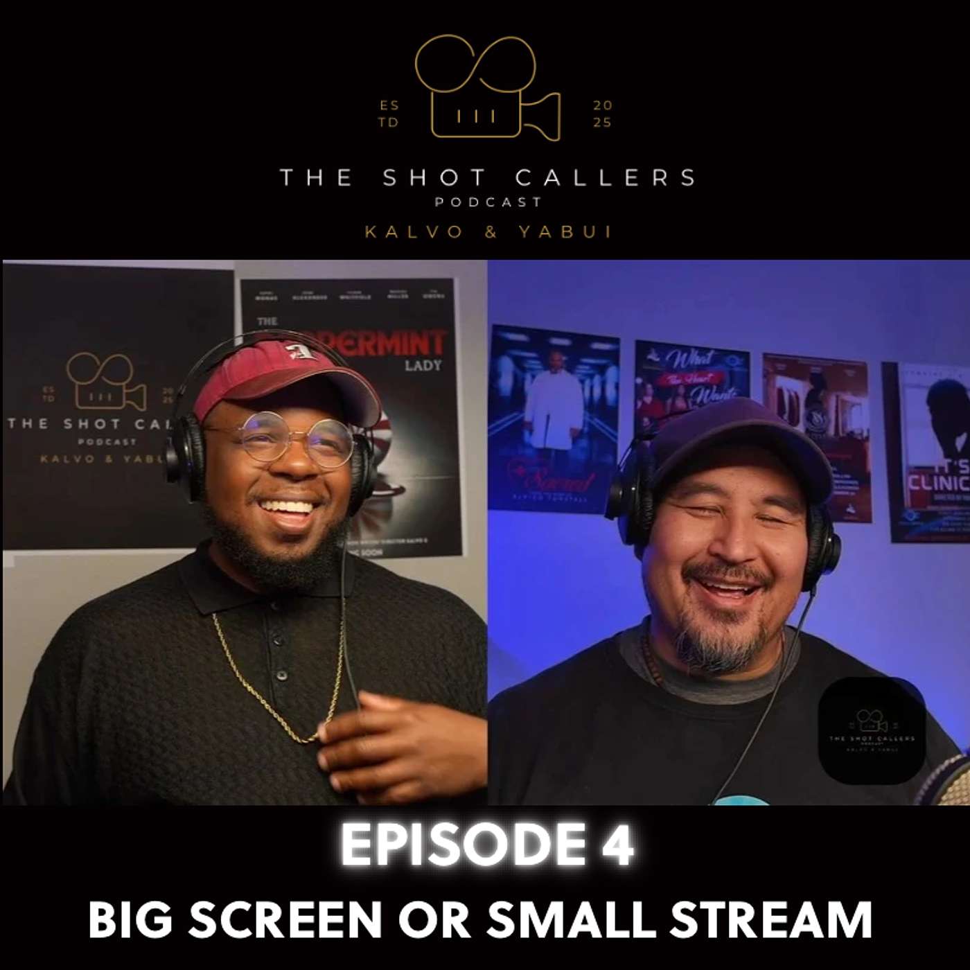 Big Screen or Streaming? episode artwork