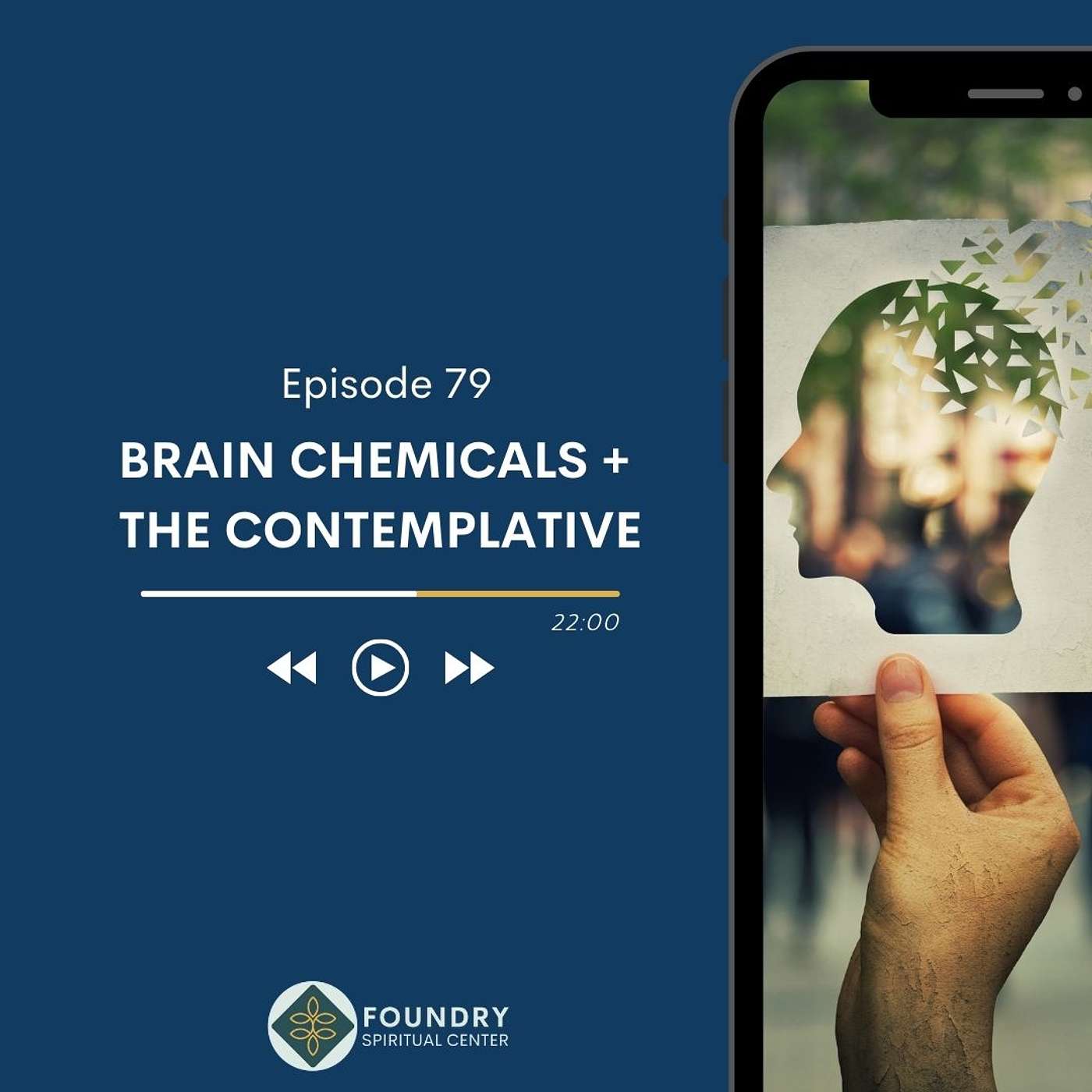 Ep 79 Brain Chemicals + the Contemplative