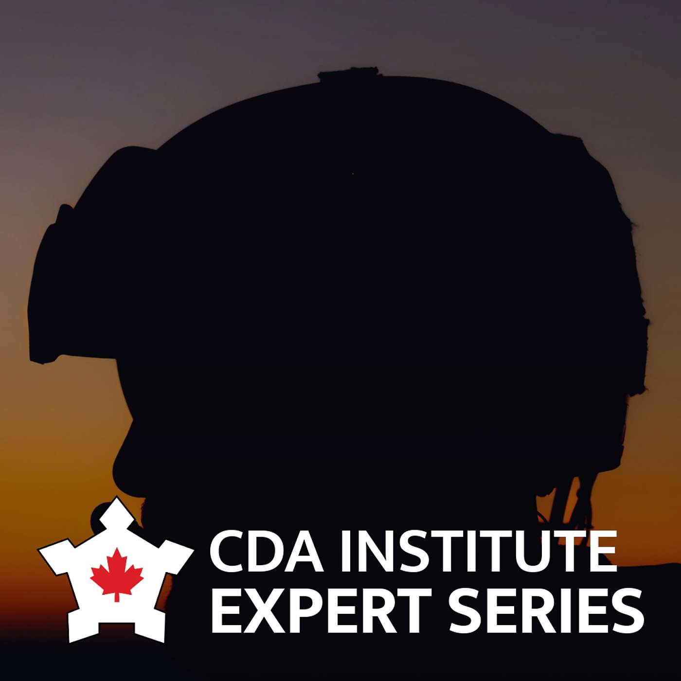 Conference of Defence Associations Institute