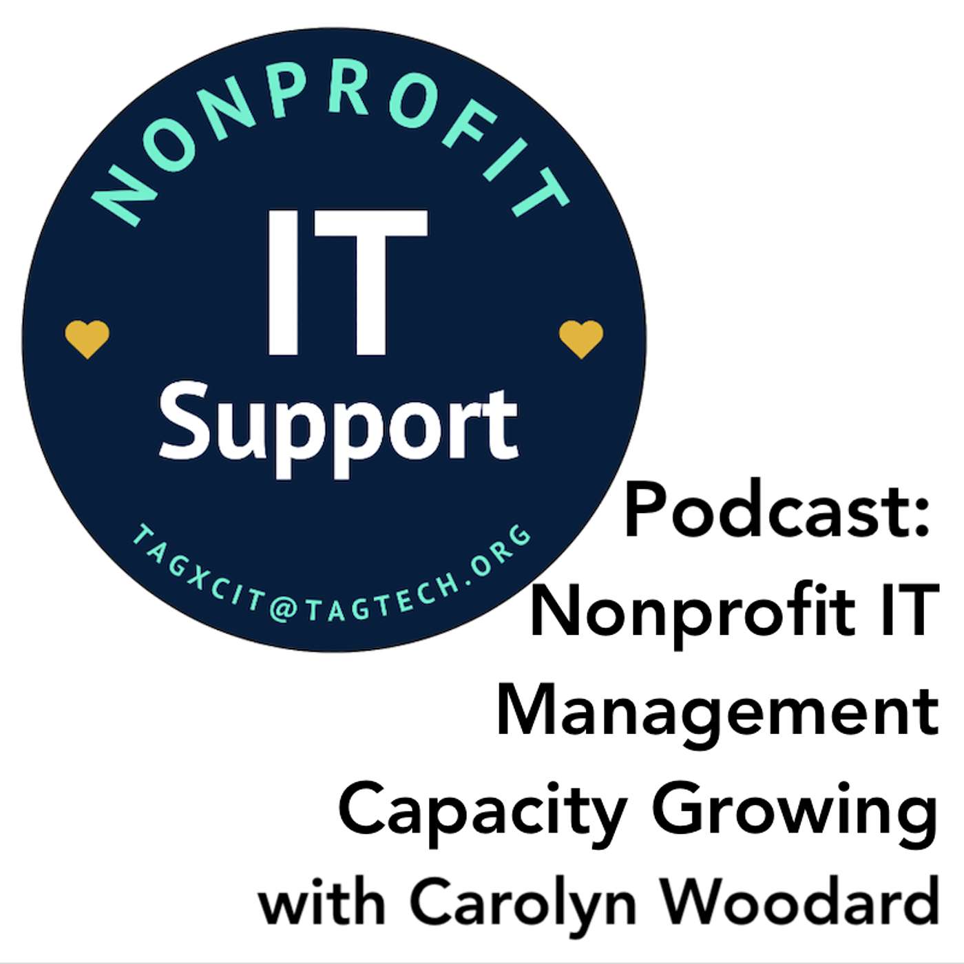 Nonprofit IT Management Capacity Growing with Carolyn Woodard