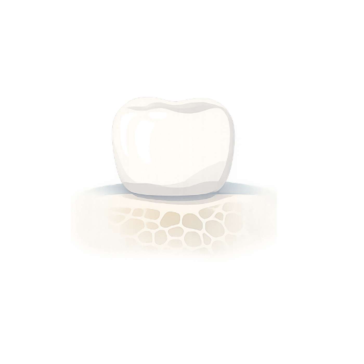 Zirconia Implants: The Future of Biocompatible Dentistry