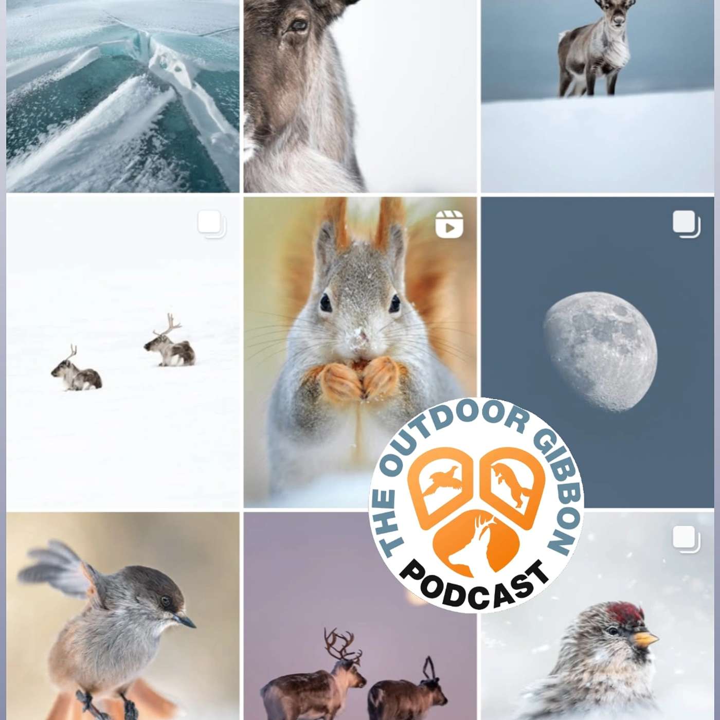69 Hunting with Light: Magnus's Wildlife Photography Journey