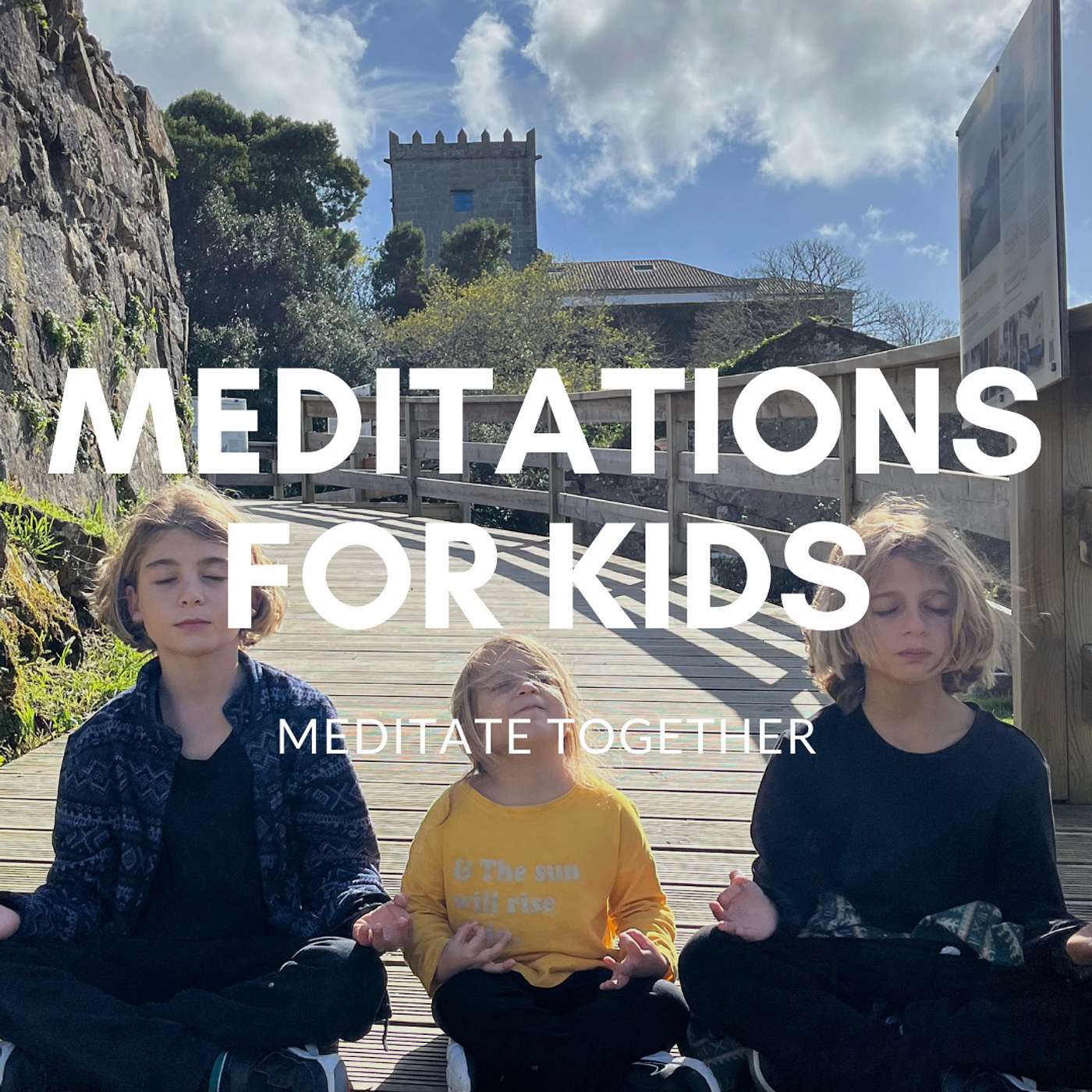 Meditations by Ofer Shani