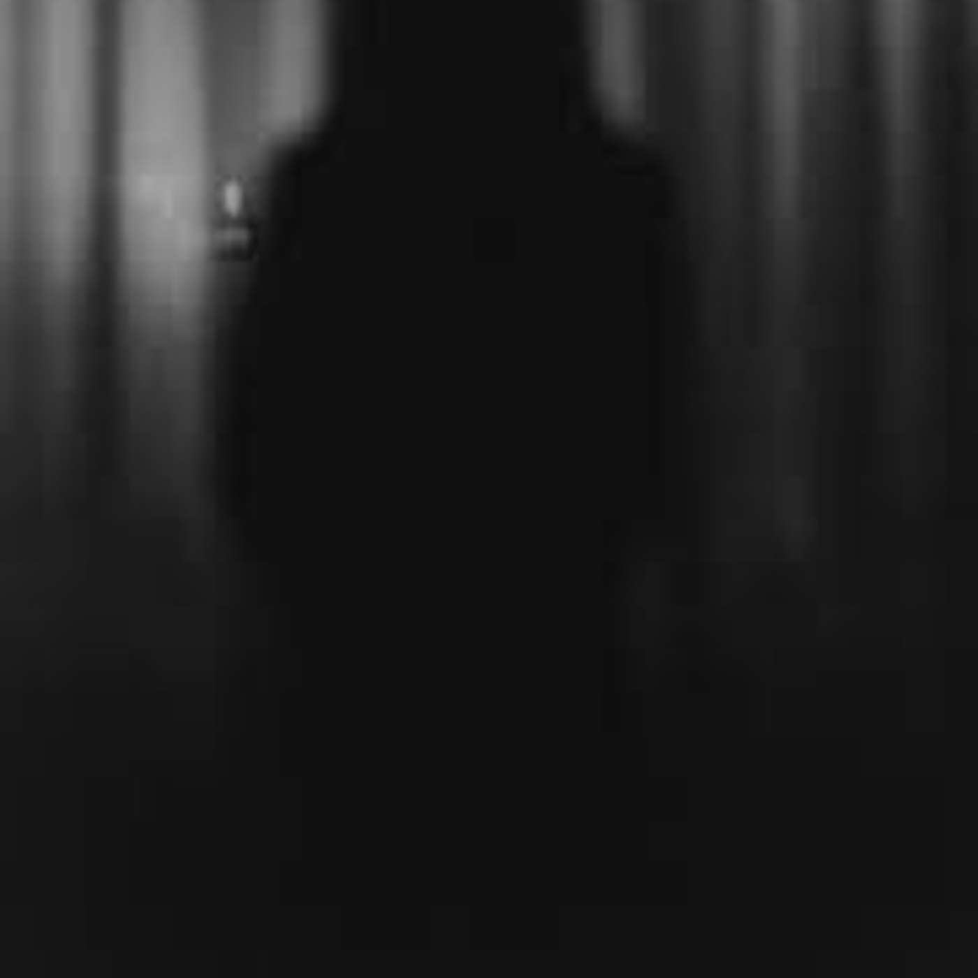 BRD-Echo