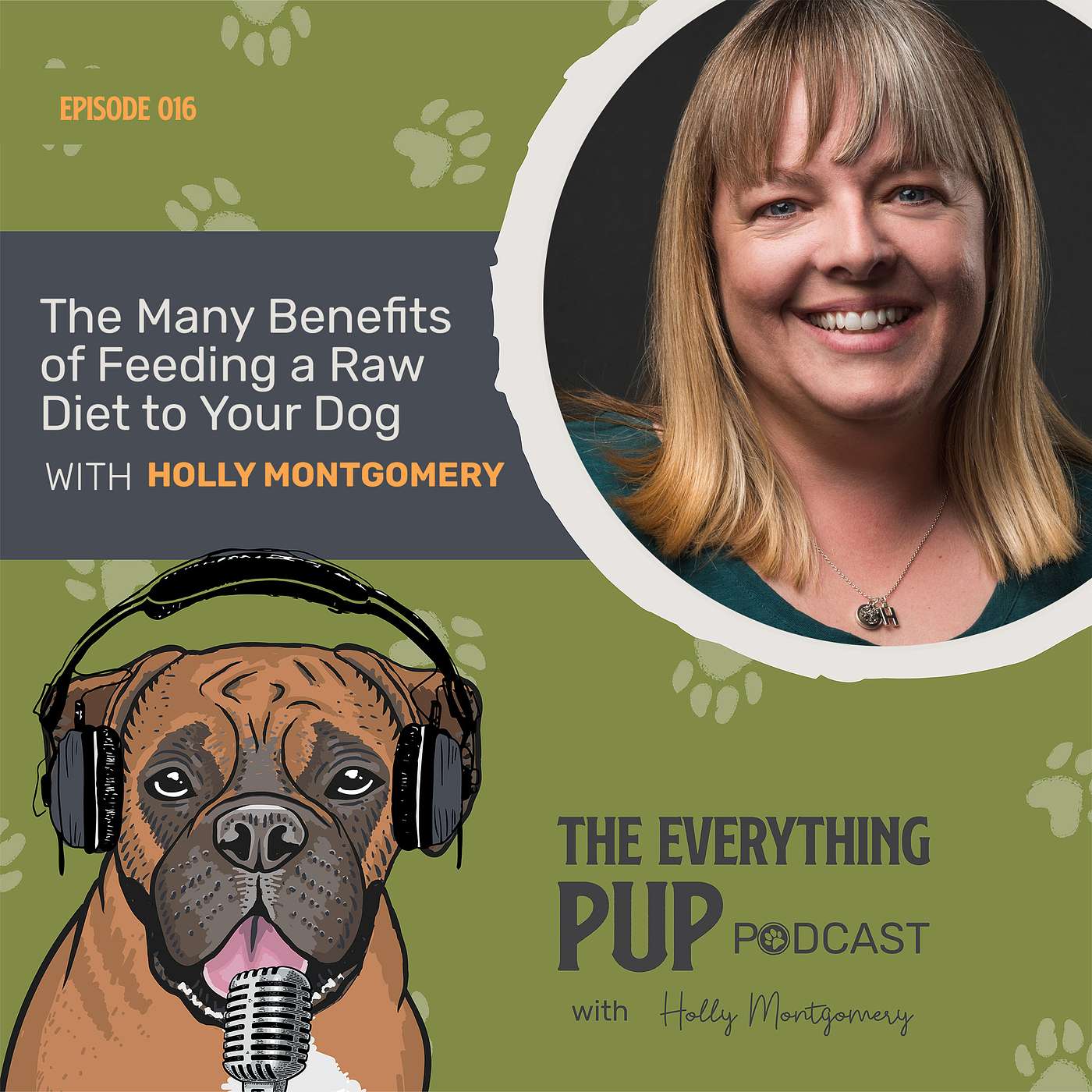 The Many Benefits of Feeding a Raw Diet to Your Dog