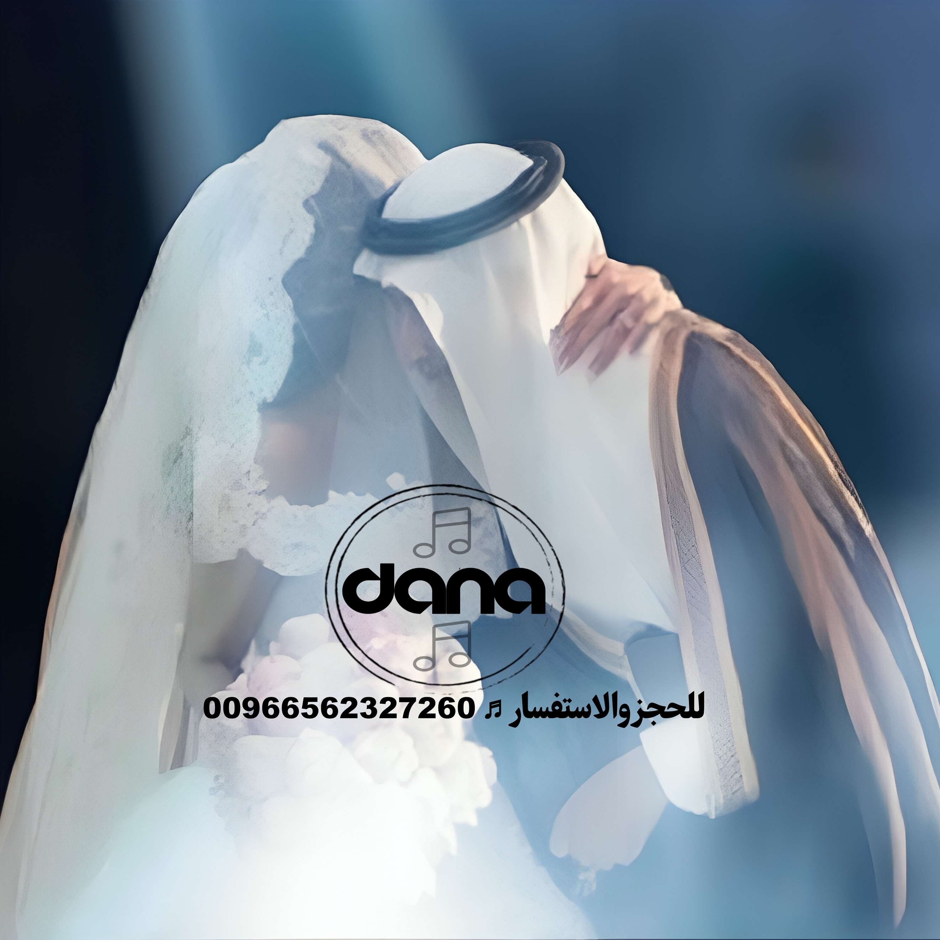استوديو دانا