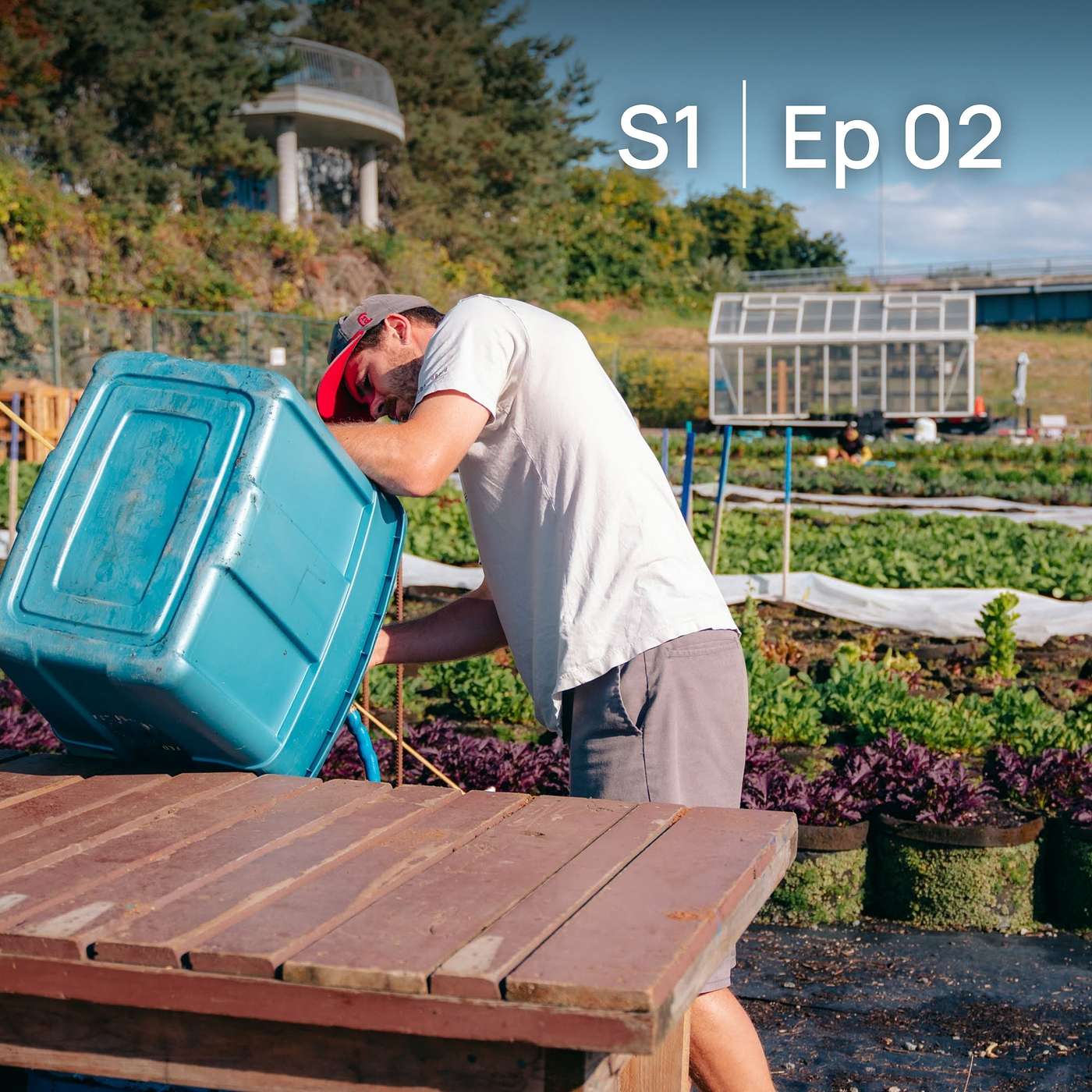 What's growing on (at an urban farm)? episode artwork