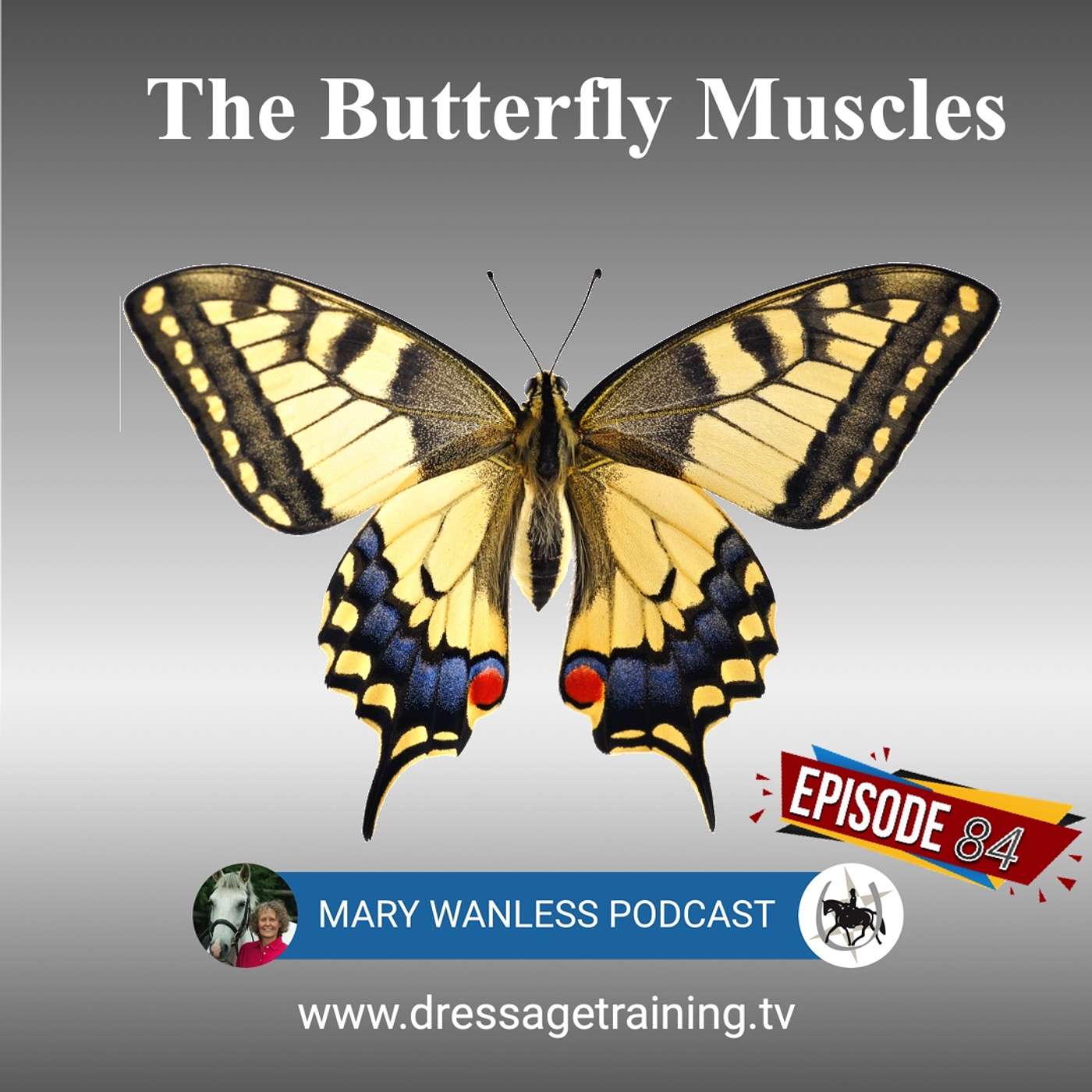 Ep 84. The Butterfly Muscles