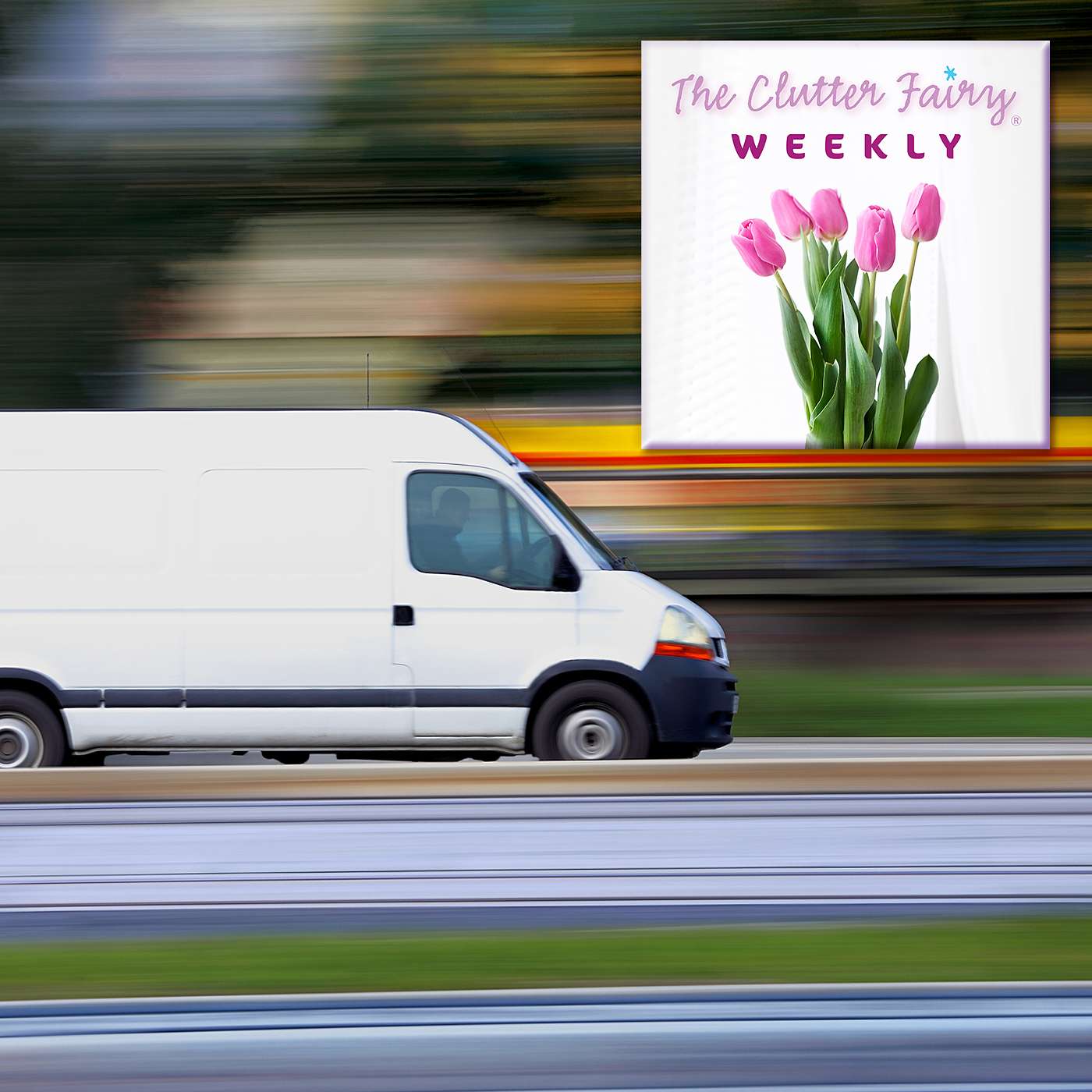 The Clutter Fairy Weekly #15 - Moving on a tight schedule | More self-talk