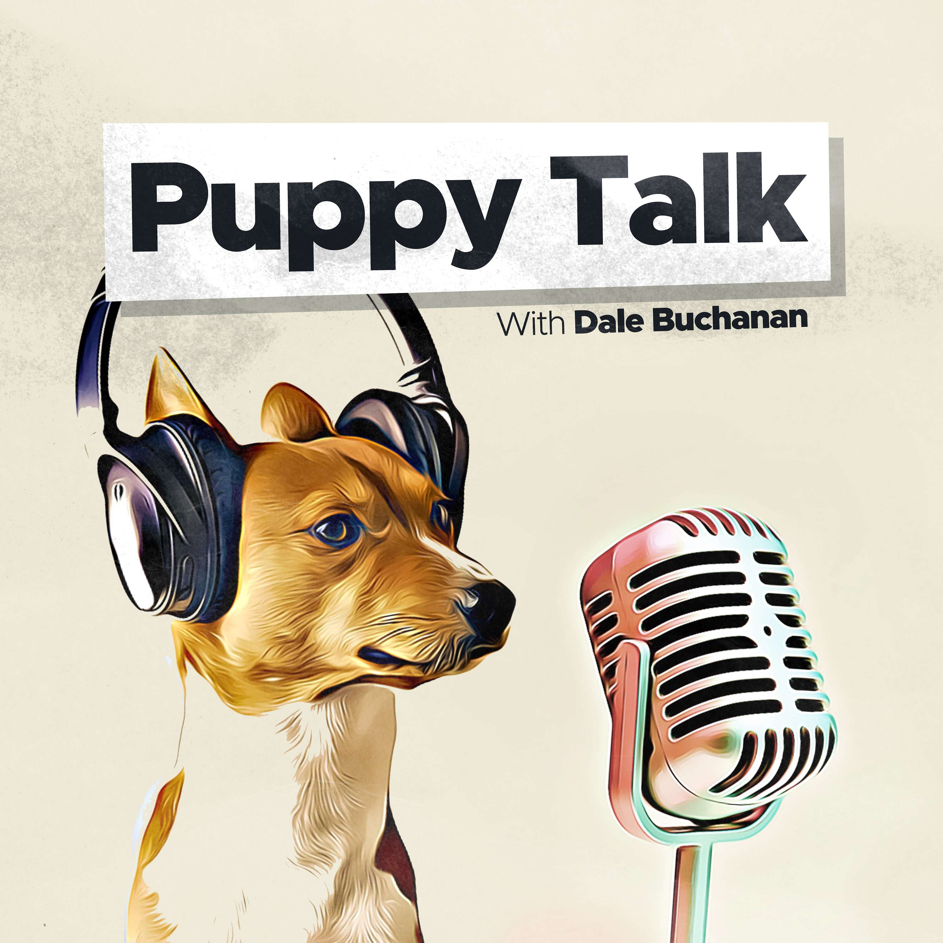 Puppy Talk - Why You Should Never Repeat Commands to Your Puppy