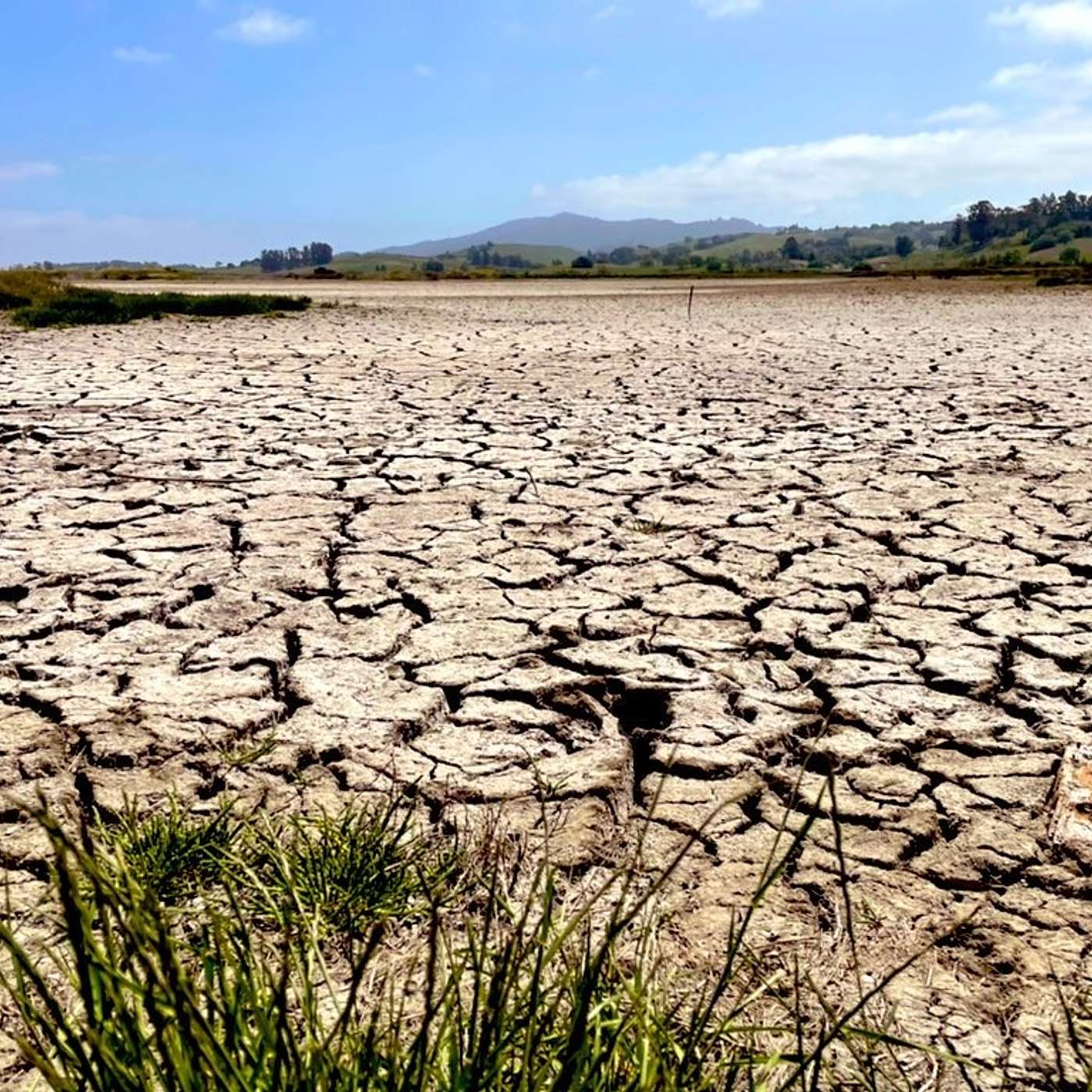 Episode #7: Summer 2021 weather & wildfire outlook Episode #7: Summer 2021 weather & wildfire outlook