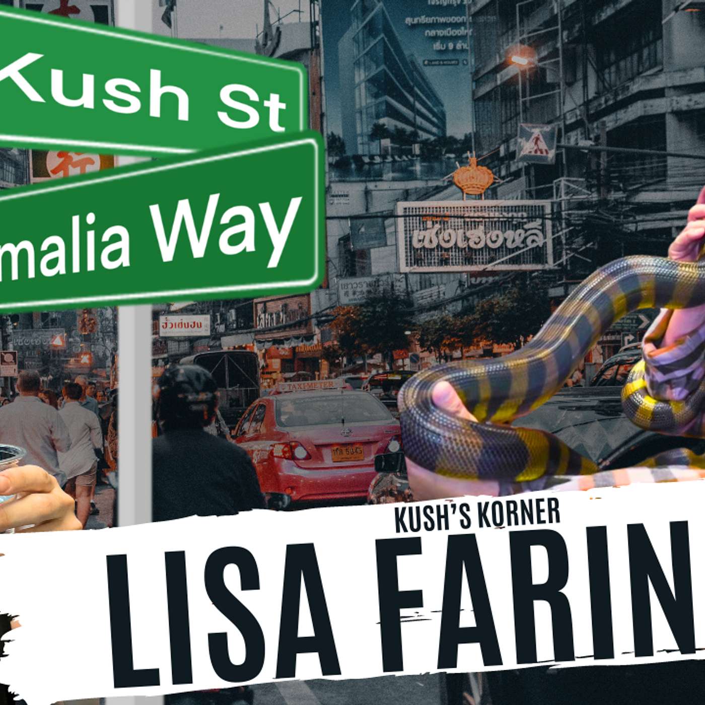 DIVING DEEP INTO BREEDING WHITE LIPPED PYTHONS w/ LISA FARINHA | KUSH'S KORNER LIVE