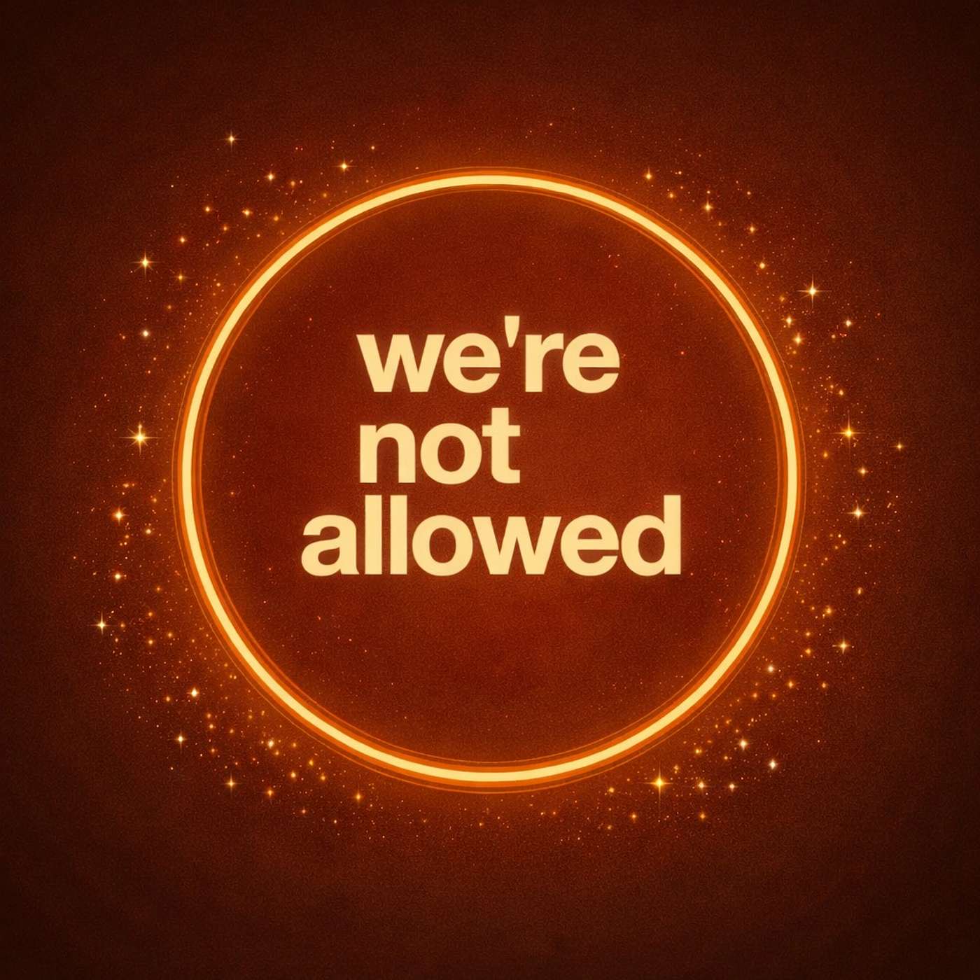 We're Not Allowed cover art