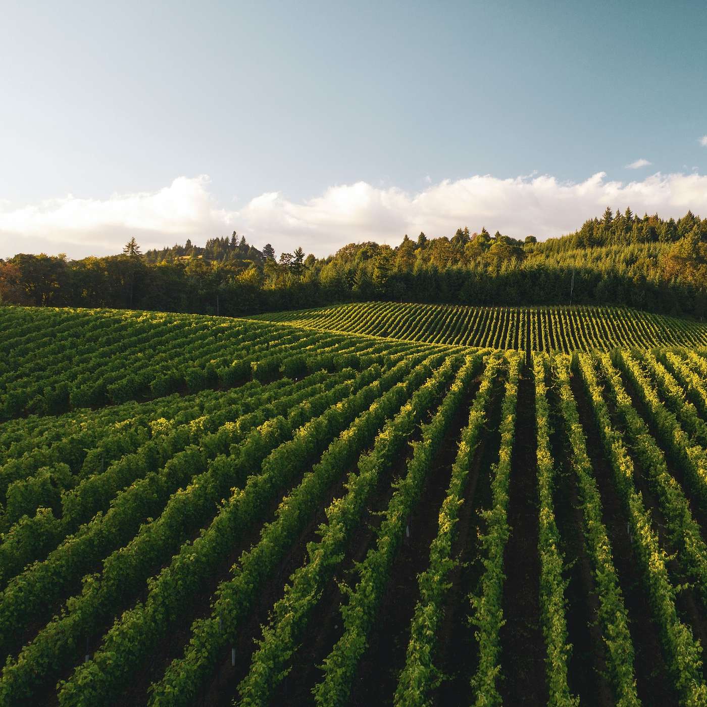 Keeping Up With The Joneses