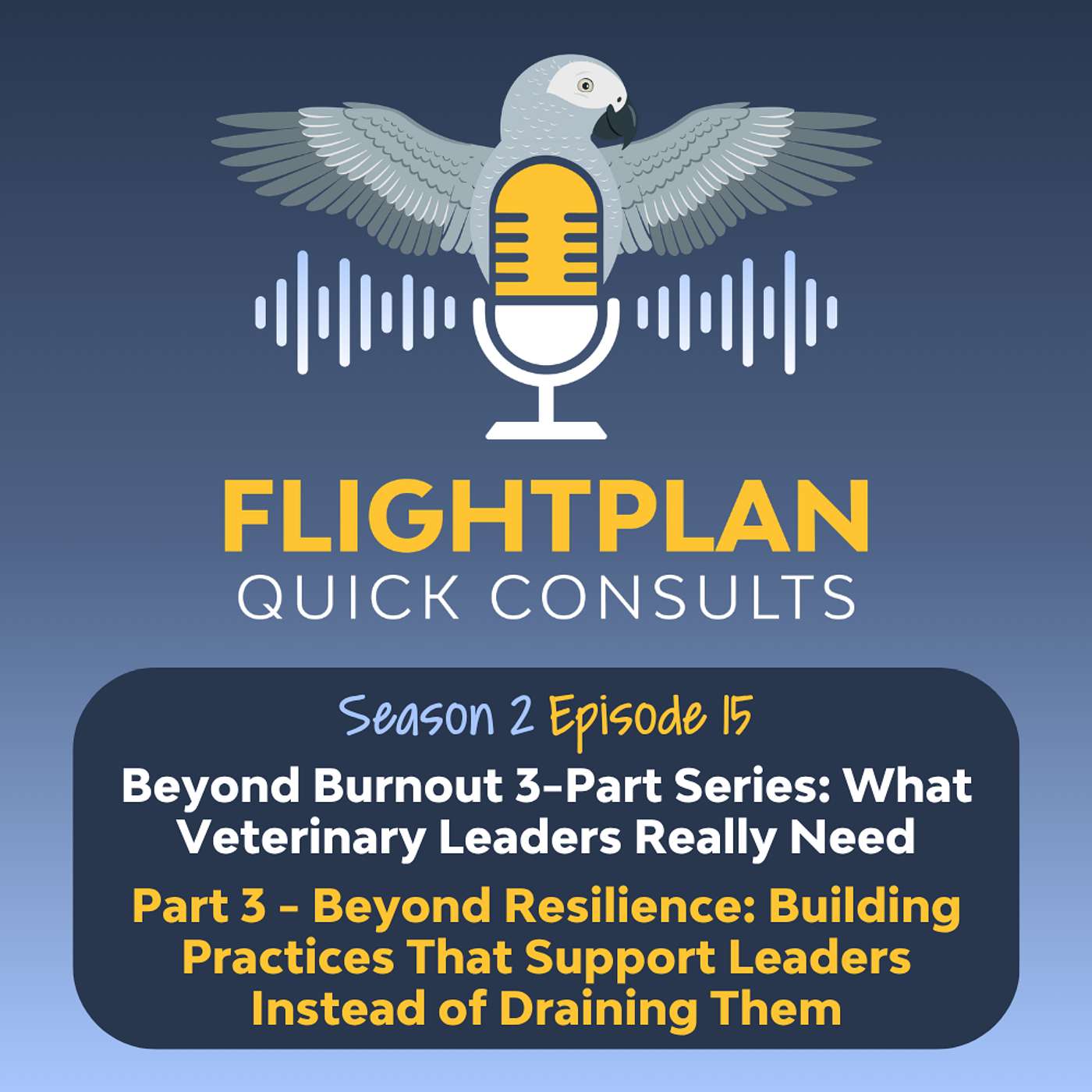 Beyond Burnout 3-Part Series // Part 3: Beyond Resilience - Building Practices That Support Leaders Instead of Draining Them episode artwork