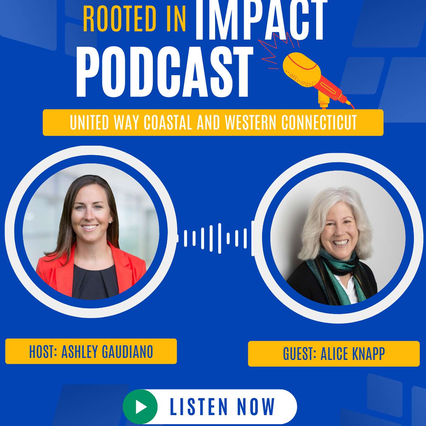 Episode 14: Connecting Community Through Libraries and Access with Ferguson Library CEO, Alice Knapp episode artwork