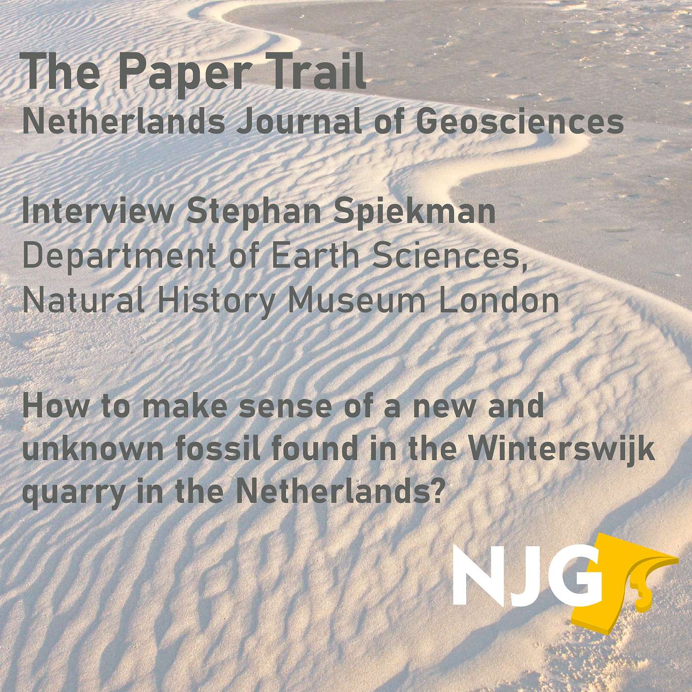 The Paper Trail
