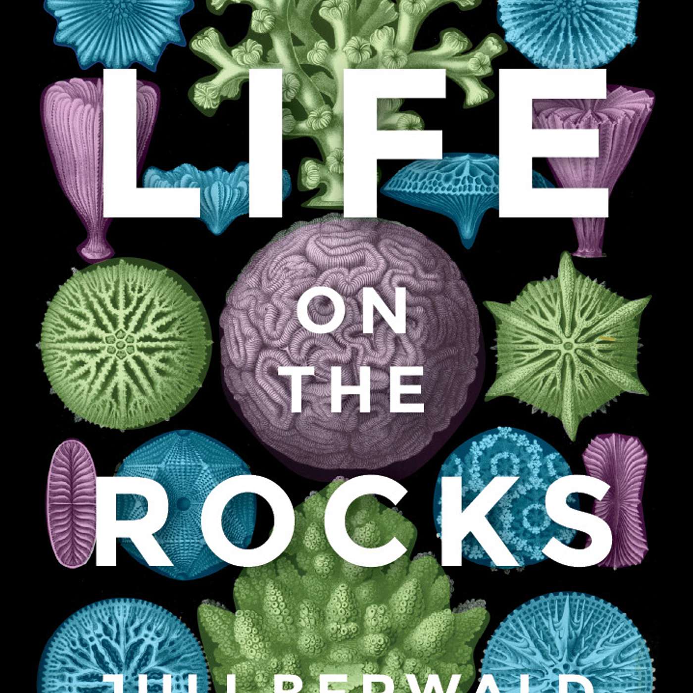 "Life on the Rocks" by Juli Berwald episode artwork