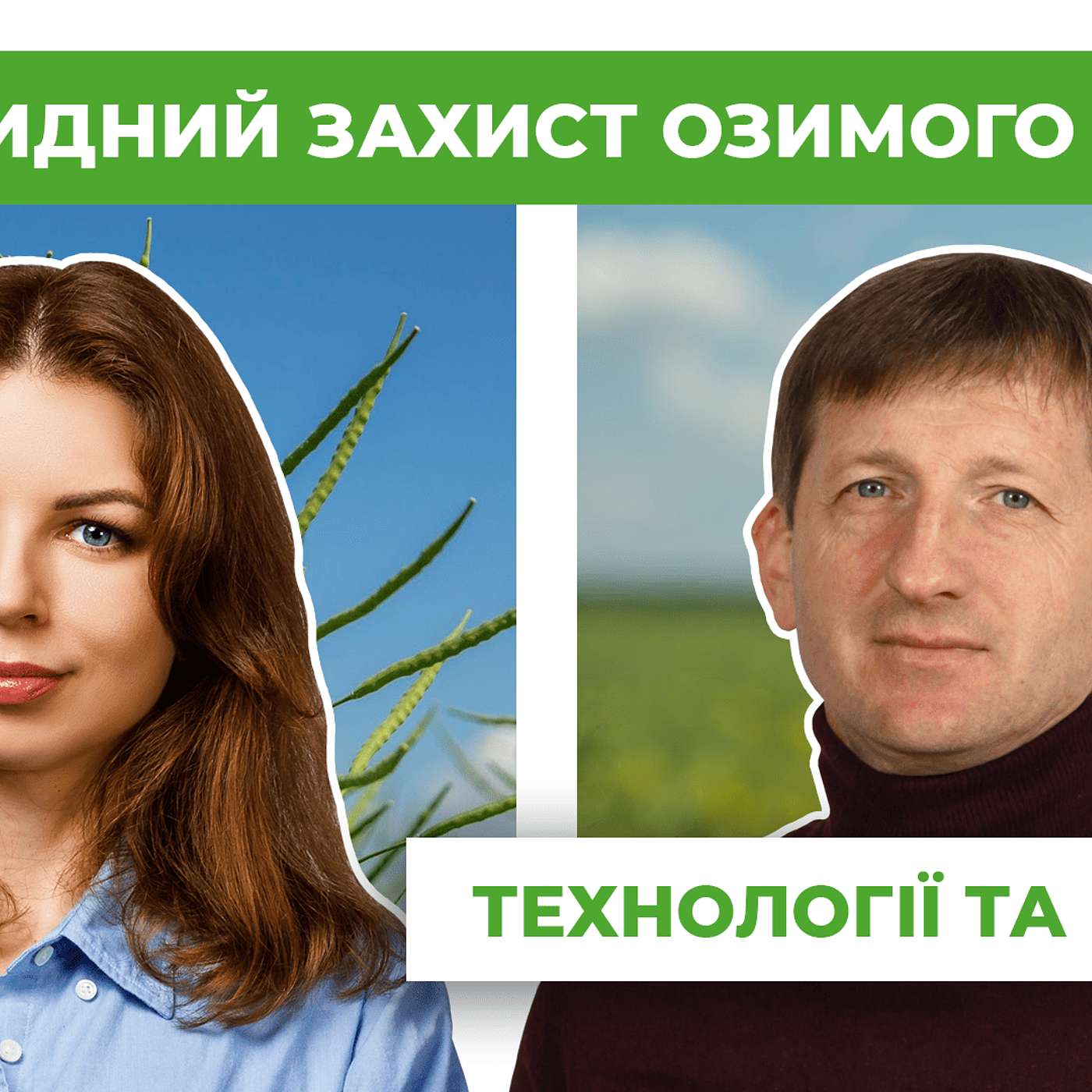 🎧 Гербіцидний захист озимого ріпаку: особливості, рекомендації, технології