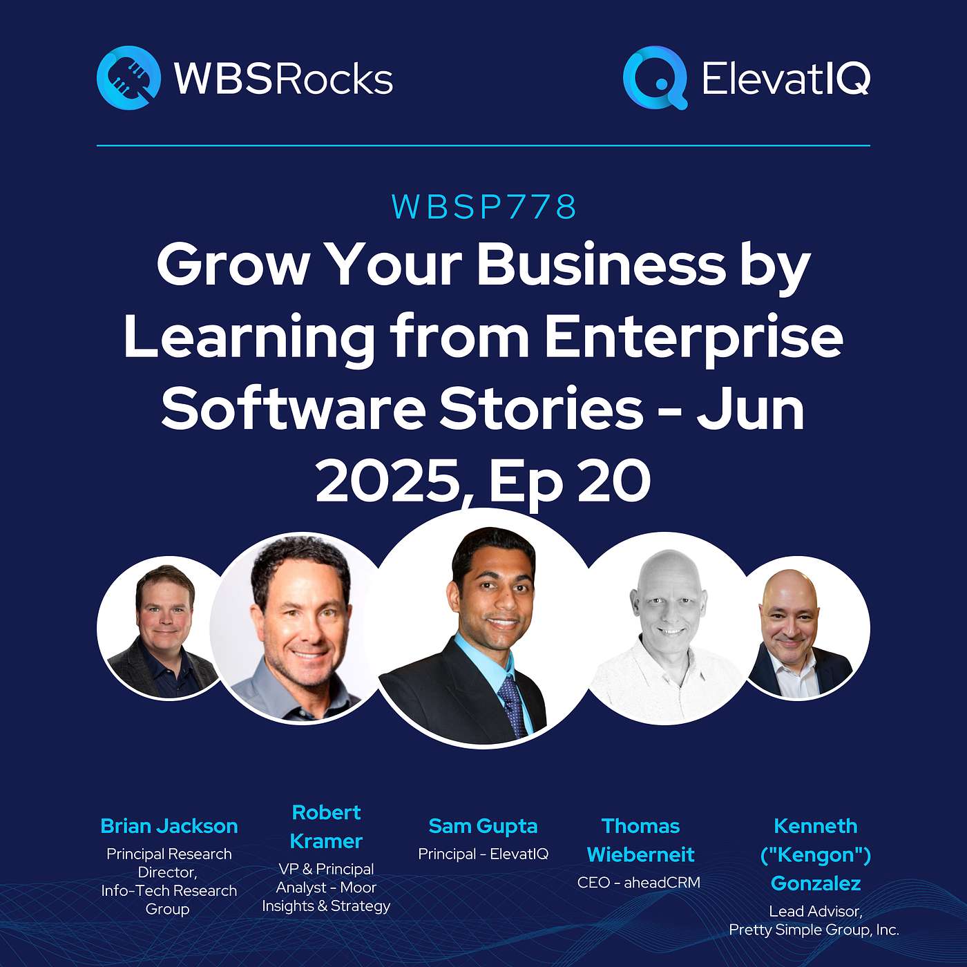 WBSP778: Grow Your Business by Learning from Enterprise Software Stories - Jun 2025, Ep 20, an Objective Panel Discussion
