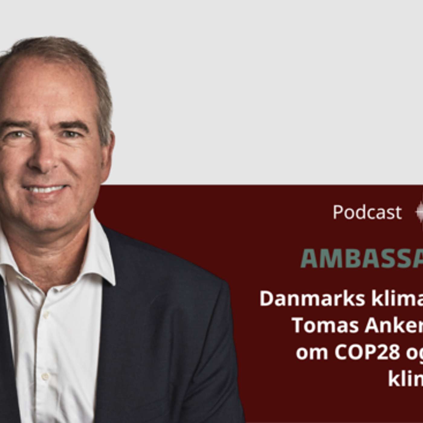 Ambassadørerne