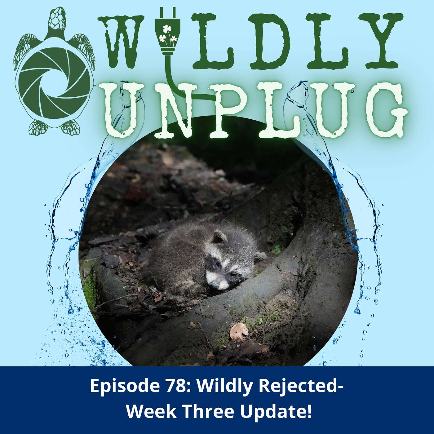 Wildly Rejected- Week Three Update