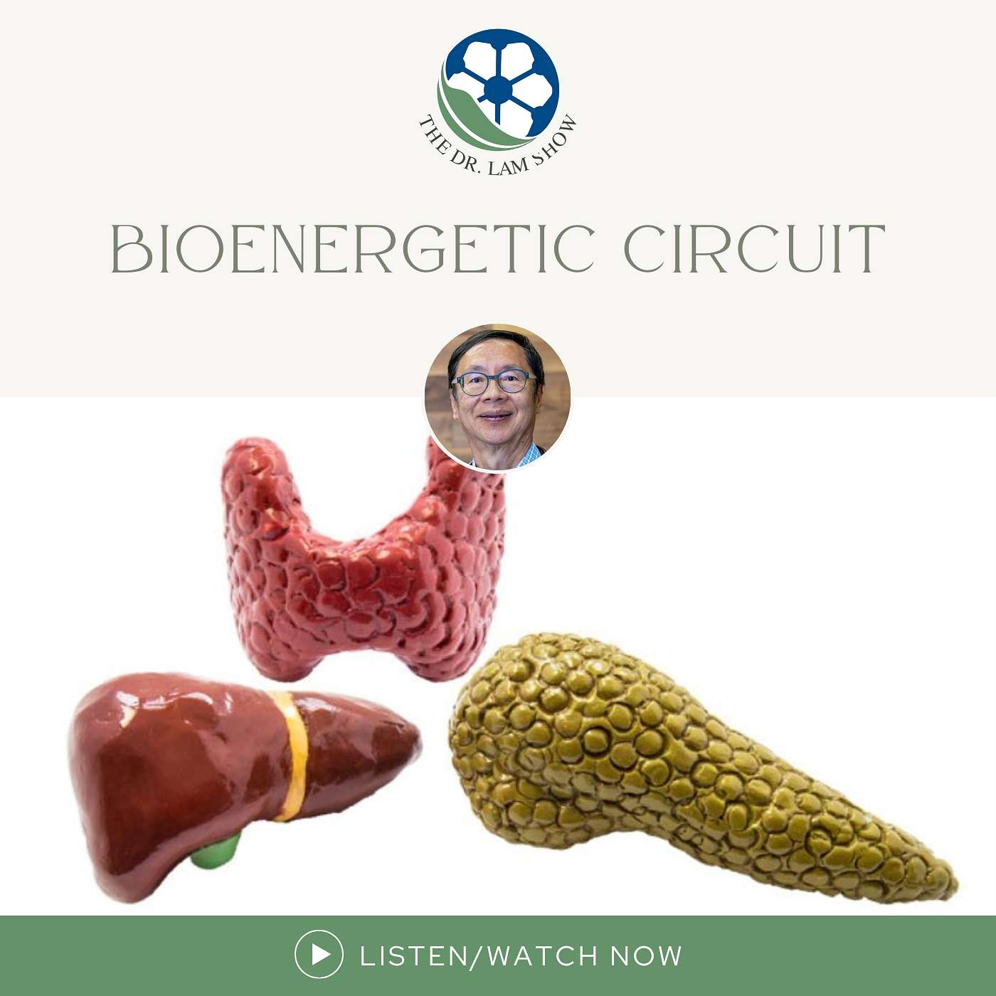 Master Guide to Bioenergetic Dysfunction