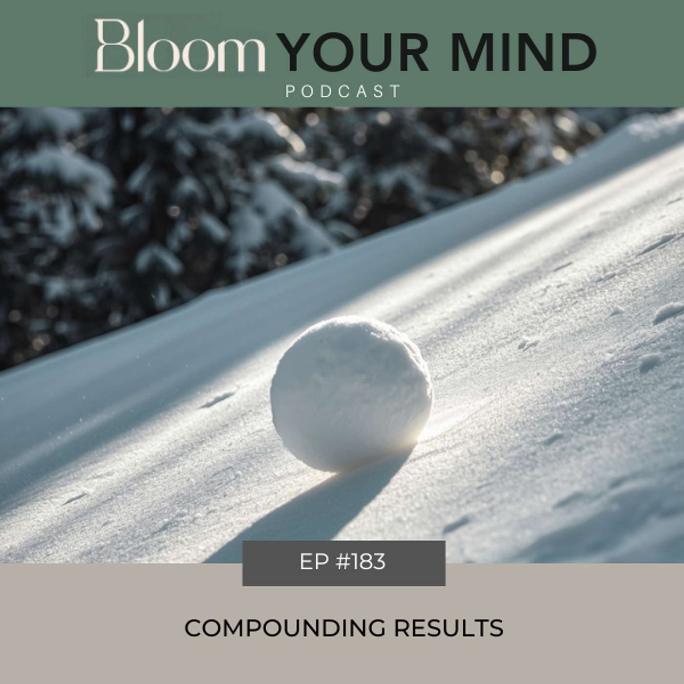 Ep 183: Compounding Results episode artwork