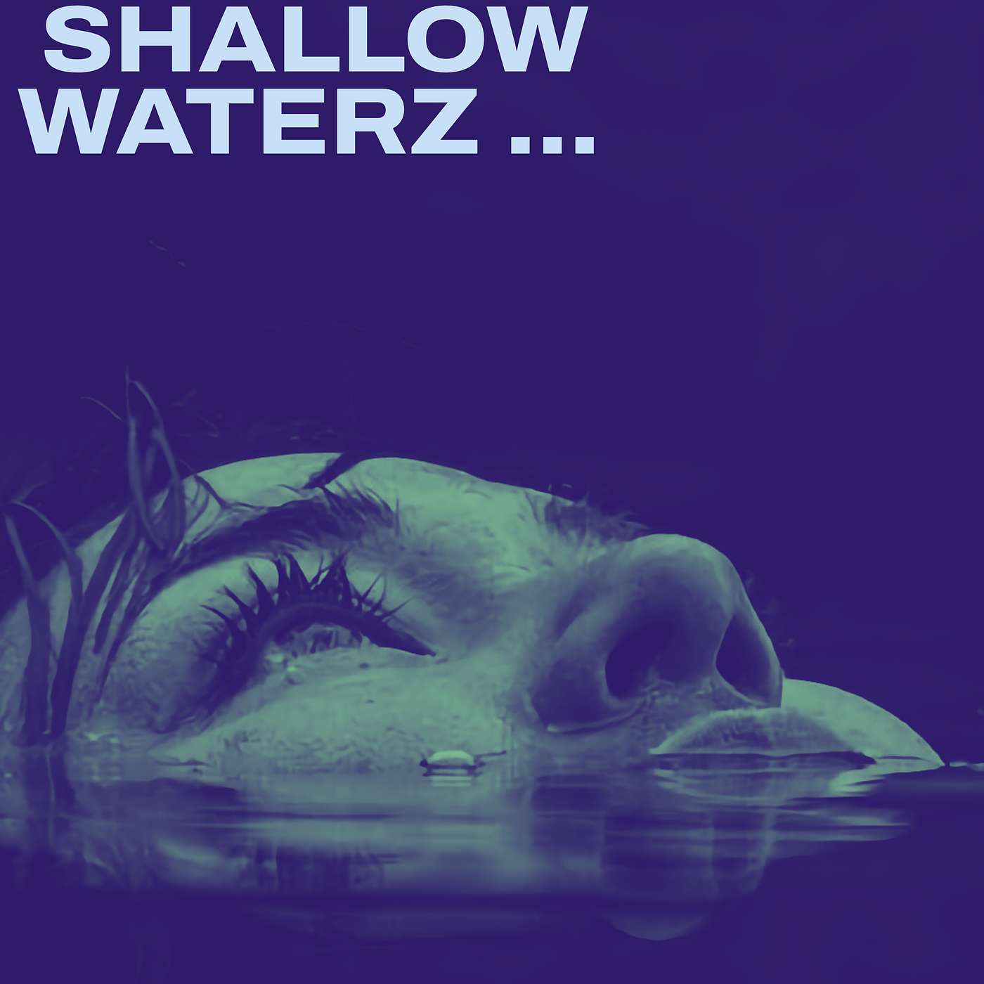 SHALLOW WATERZ
