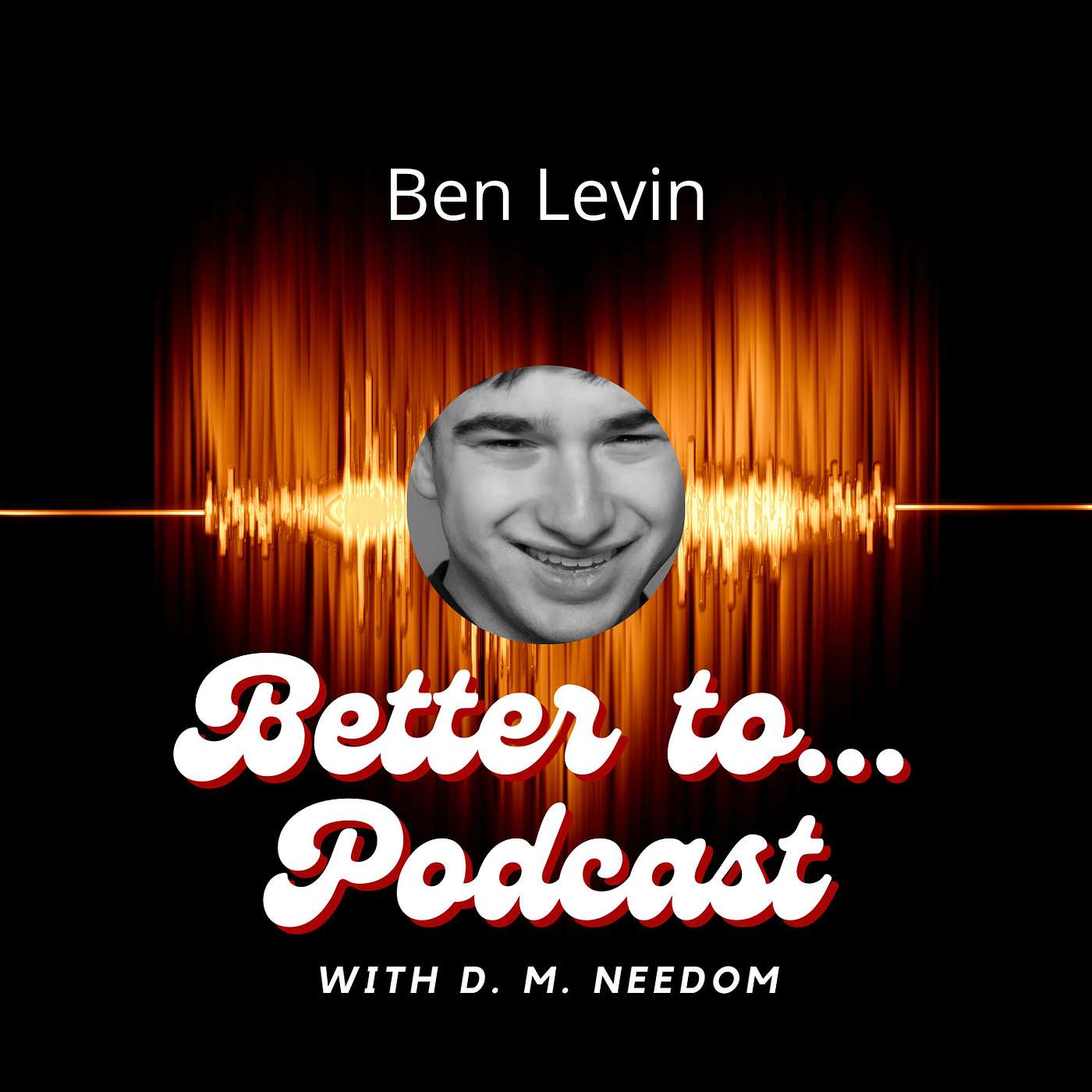 In The Hole - Author Ben Levin