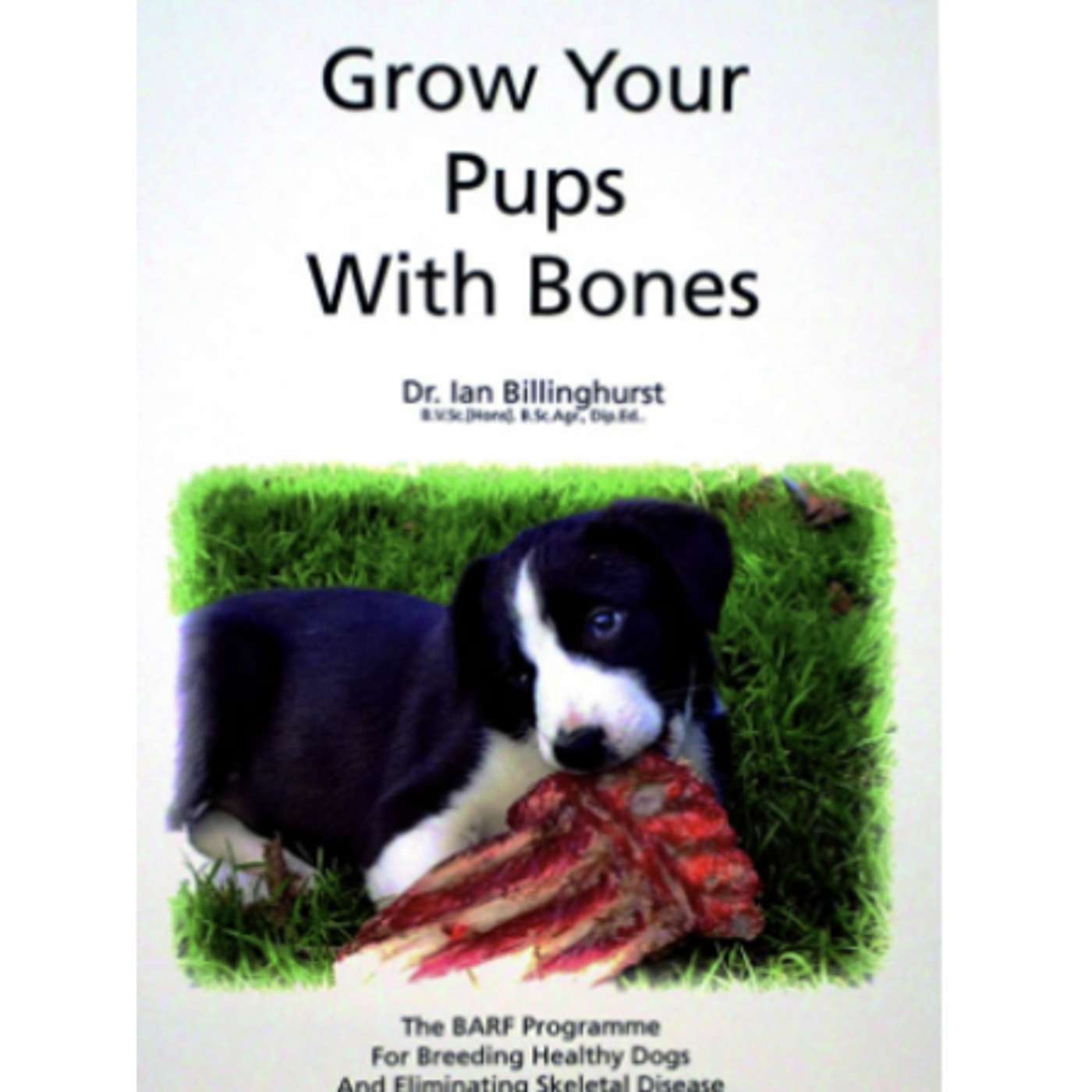 The Only Dog That Can't Eat Raw is A Dead Dog - Dr. Ian Billinghurst episode artwork