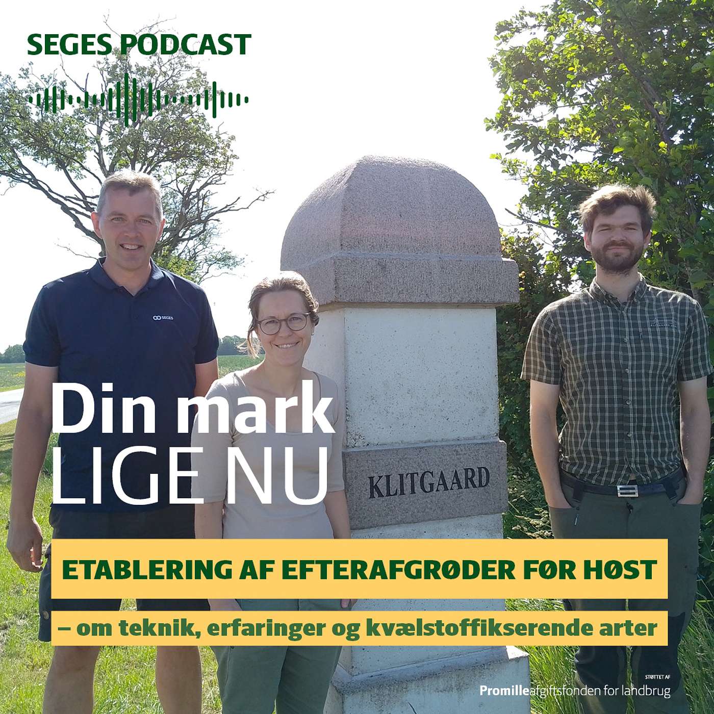 Din Mark Lige Nu: Etablering af efterafgrøder før høst